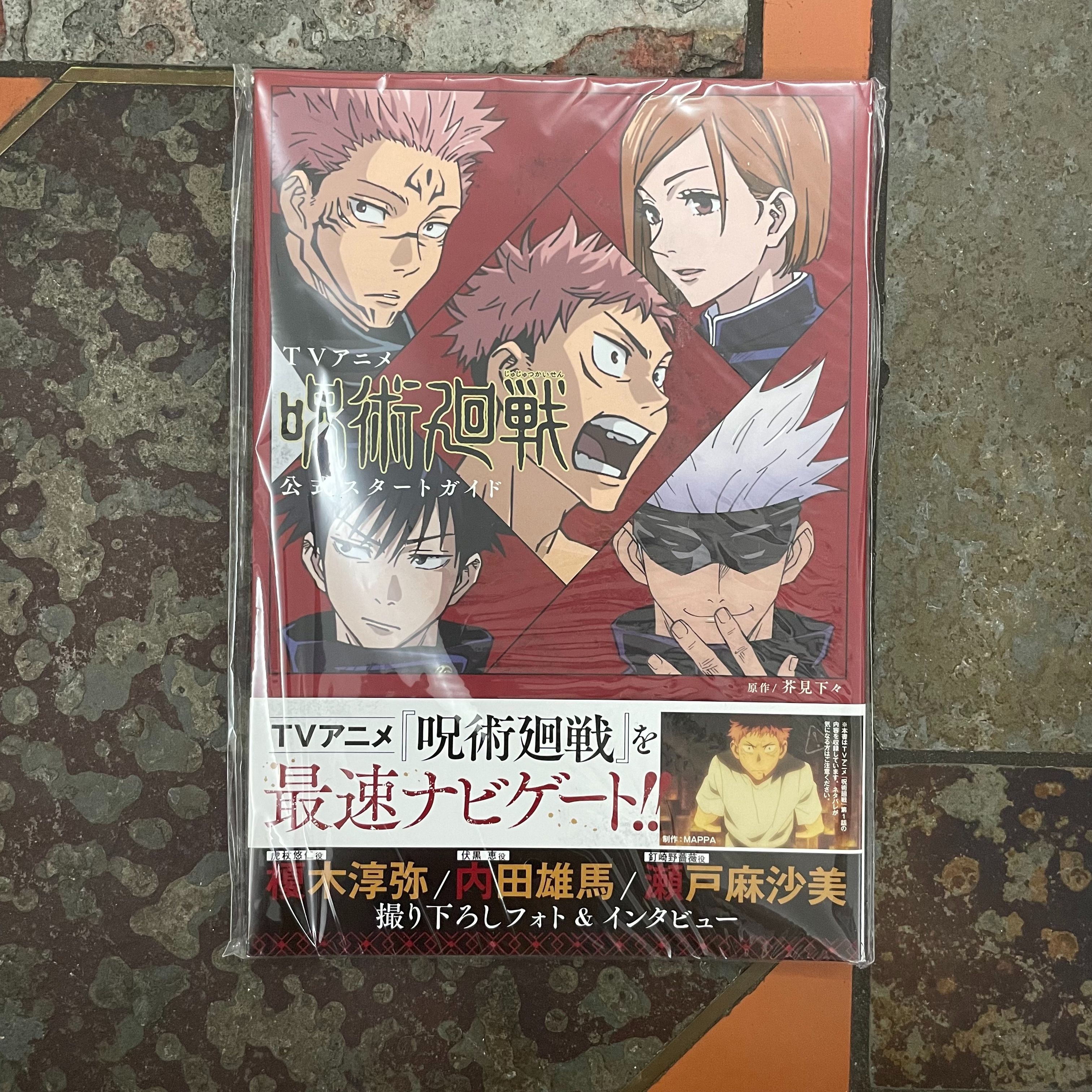 咒術回戰 動畫公式角色書