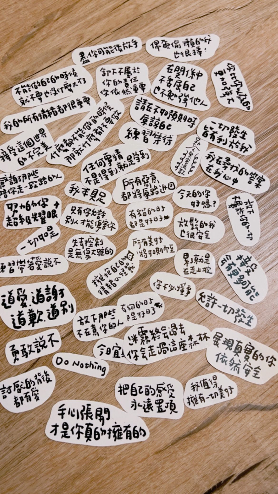 小貓咪的打工賣場NO2 動物溝通語錄和我喜歡的文字