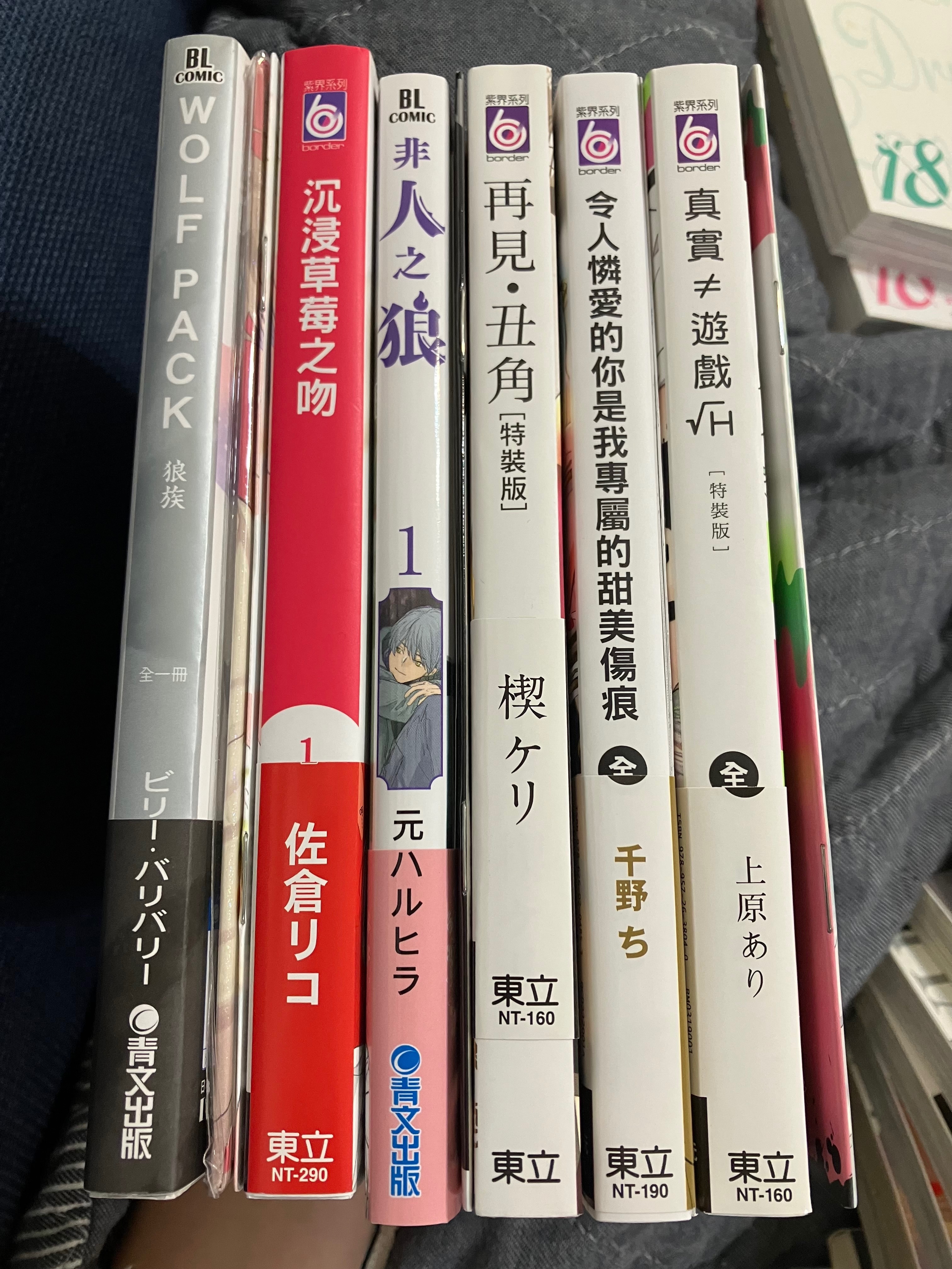 各種限定版小冊子有附錄