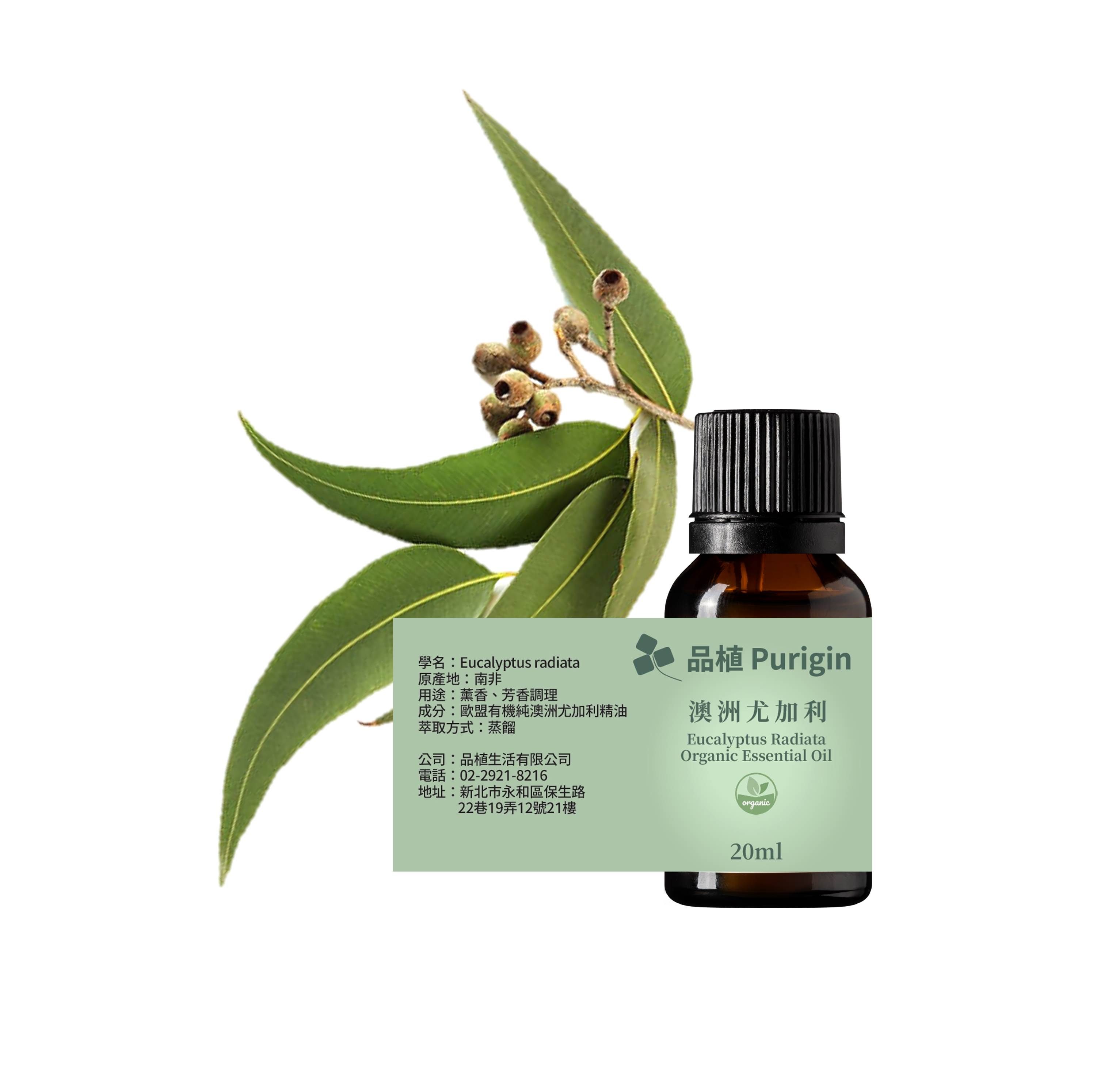 澳洲尤加利精油 歐盟有機