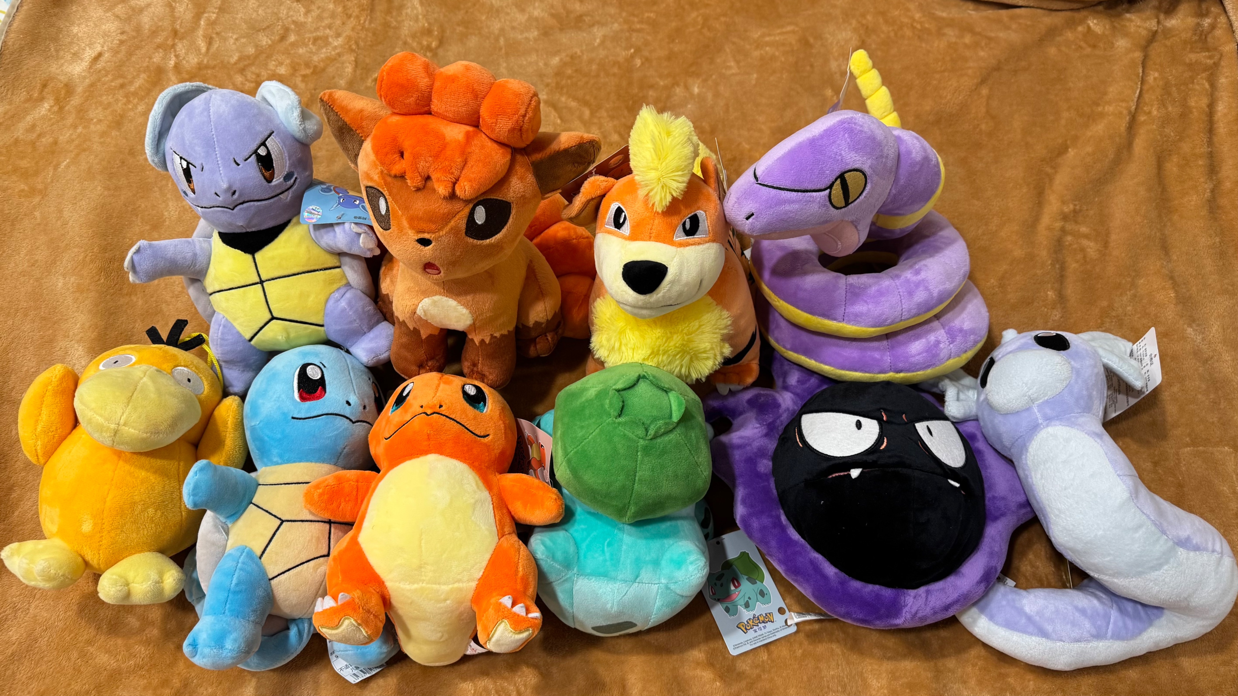 多多堡 寶可夢娃娃