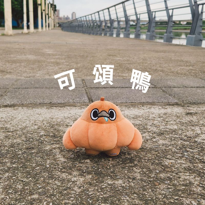 可頌鴨