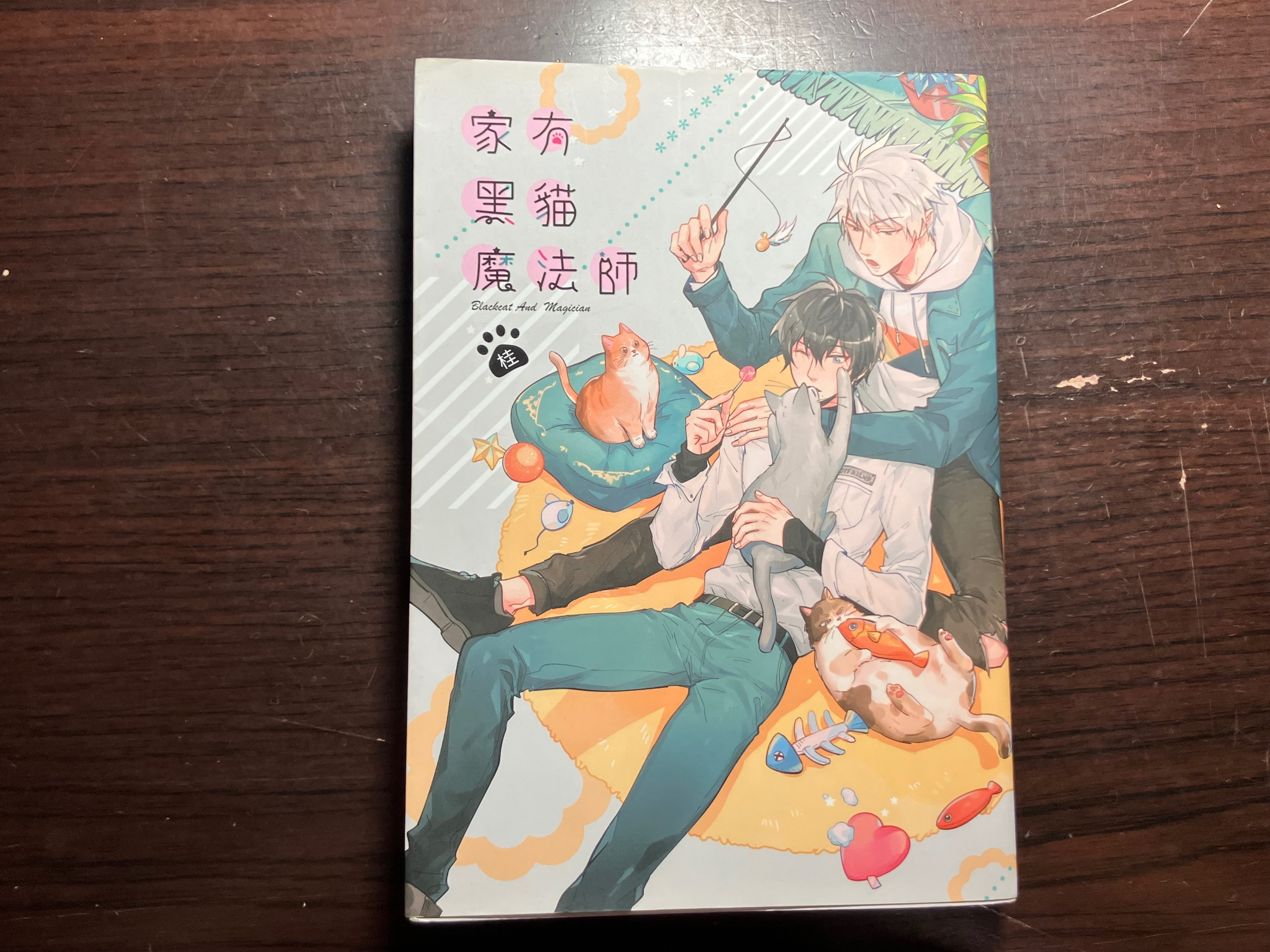 家有黑貓魔法師