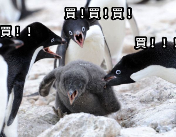 娃圈經濟