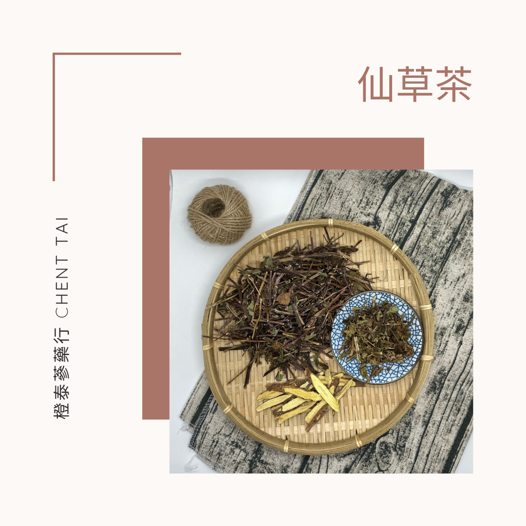 【橙泰蔘藥行】清爽仙草茶燉包