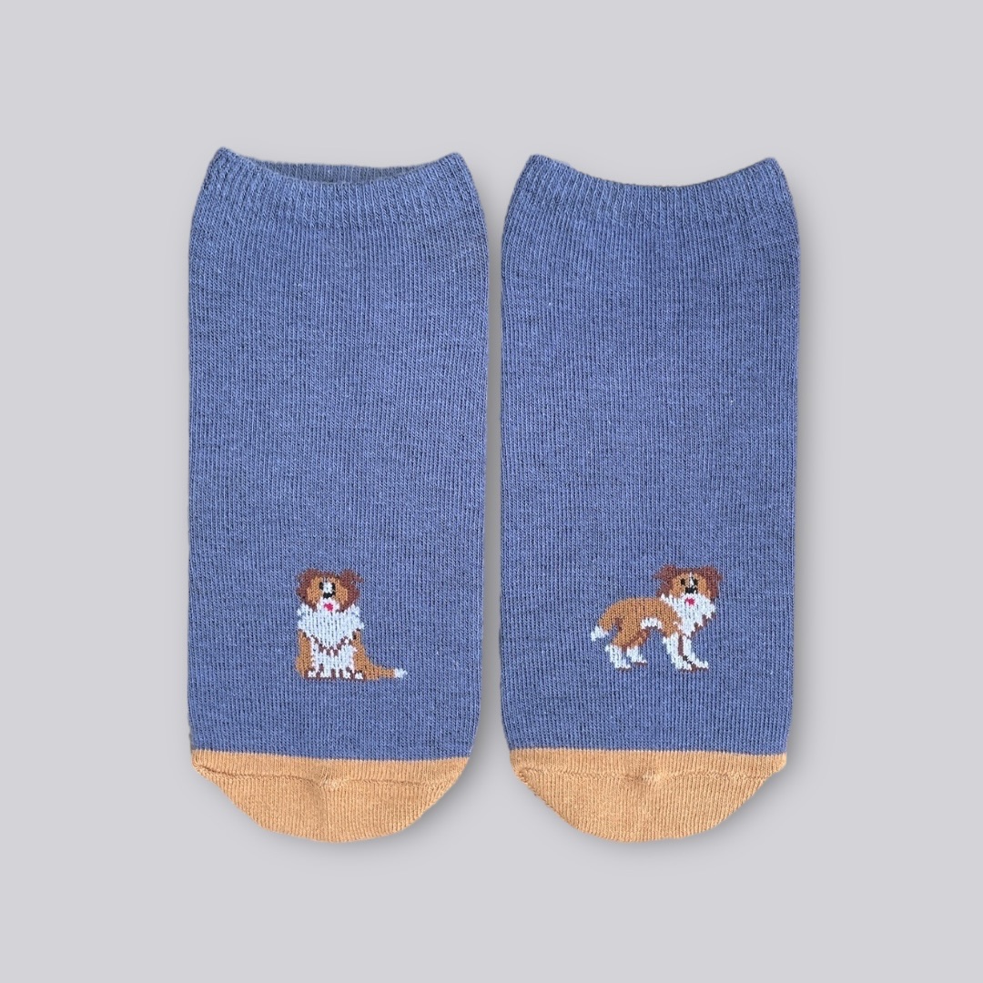 藍色牧羊犬船型襪