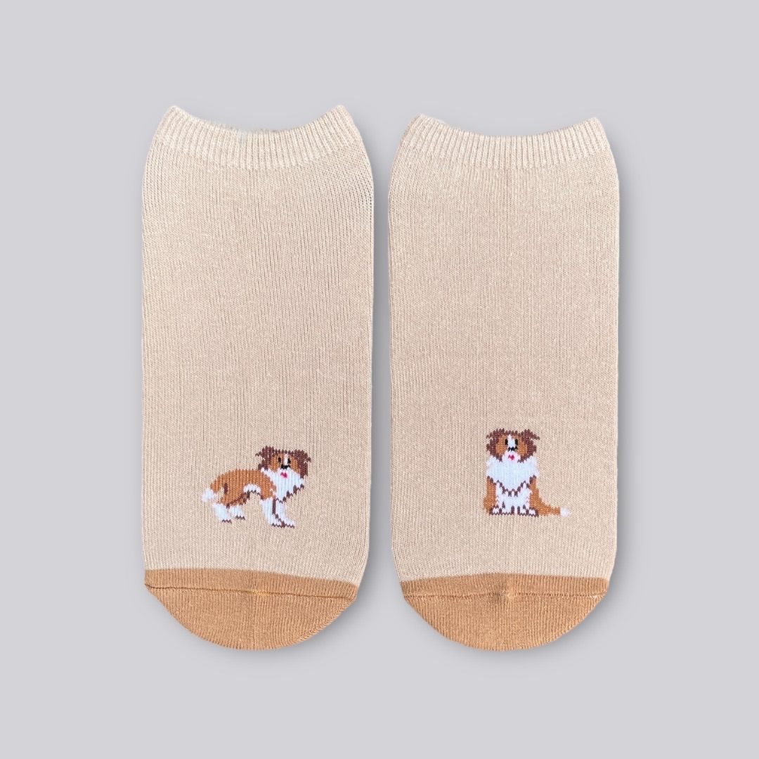 卡其色牧羊犬船型襪