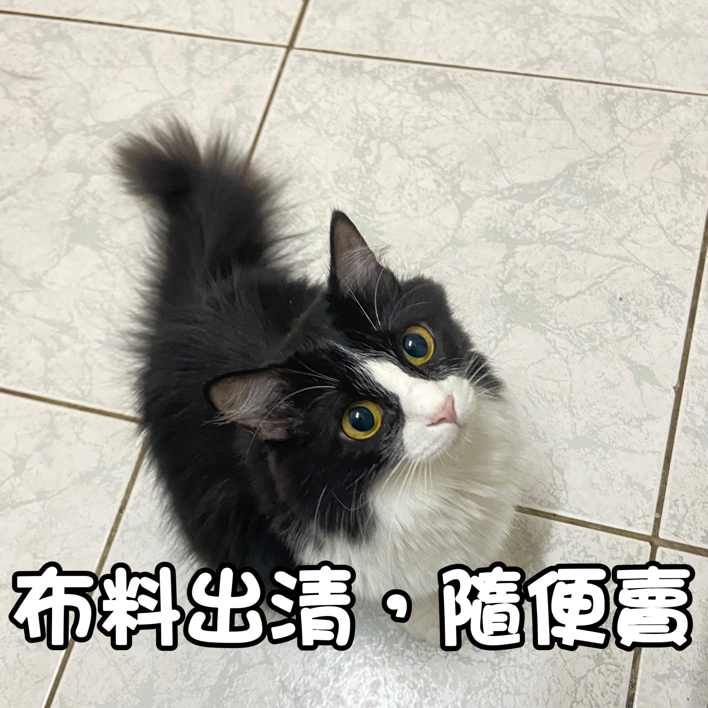 布料大出清