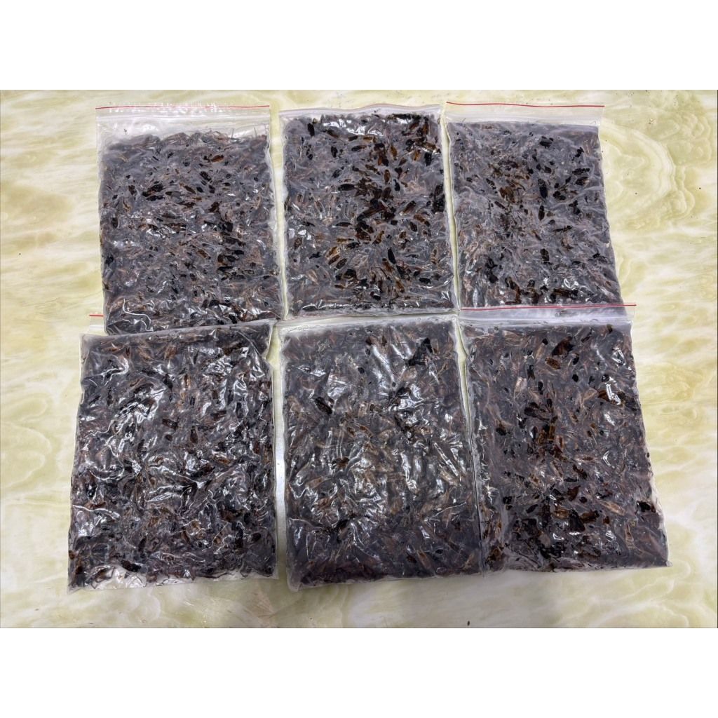 冷凍黑蟋蟀 白蟋蟀 飼料蟋蟀 爬蟲餌料