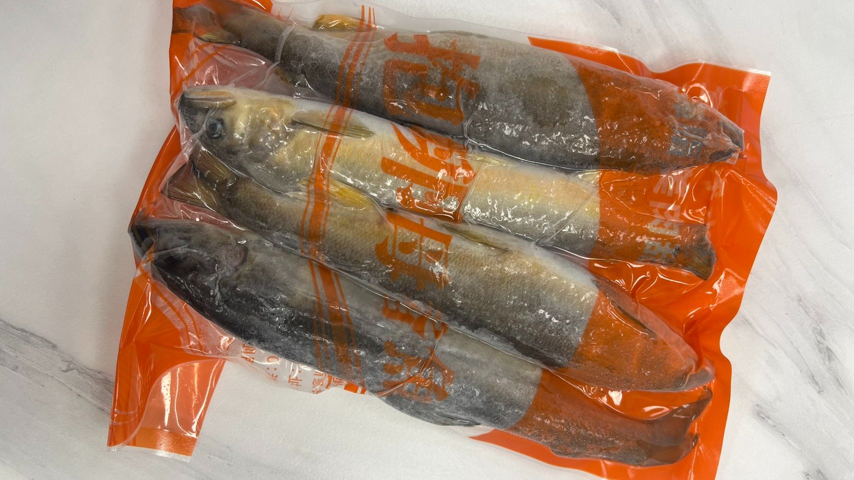 抱卵母香魚