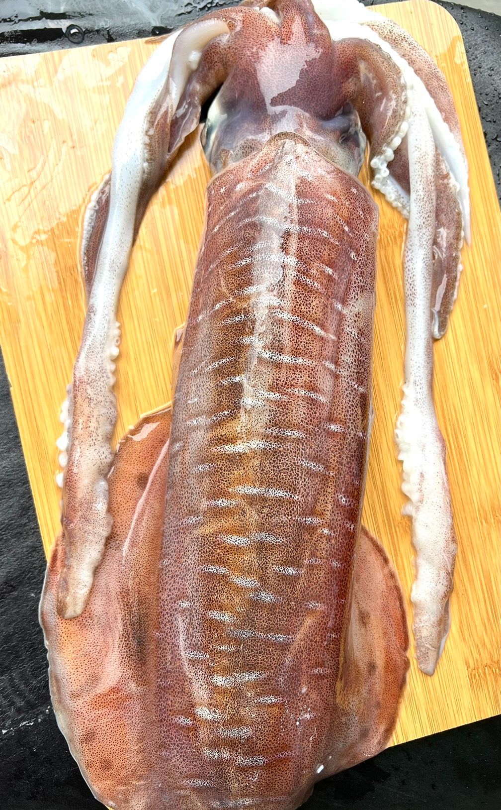 生食級活凍軟絲