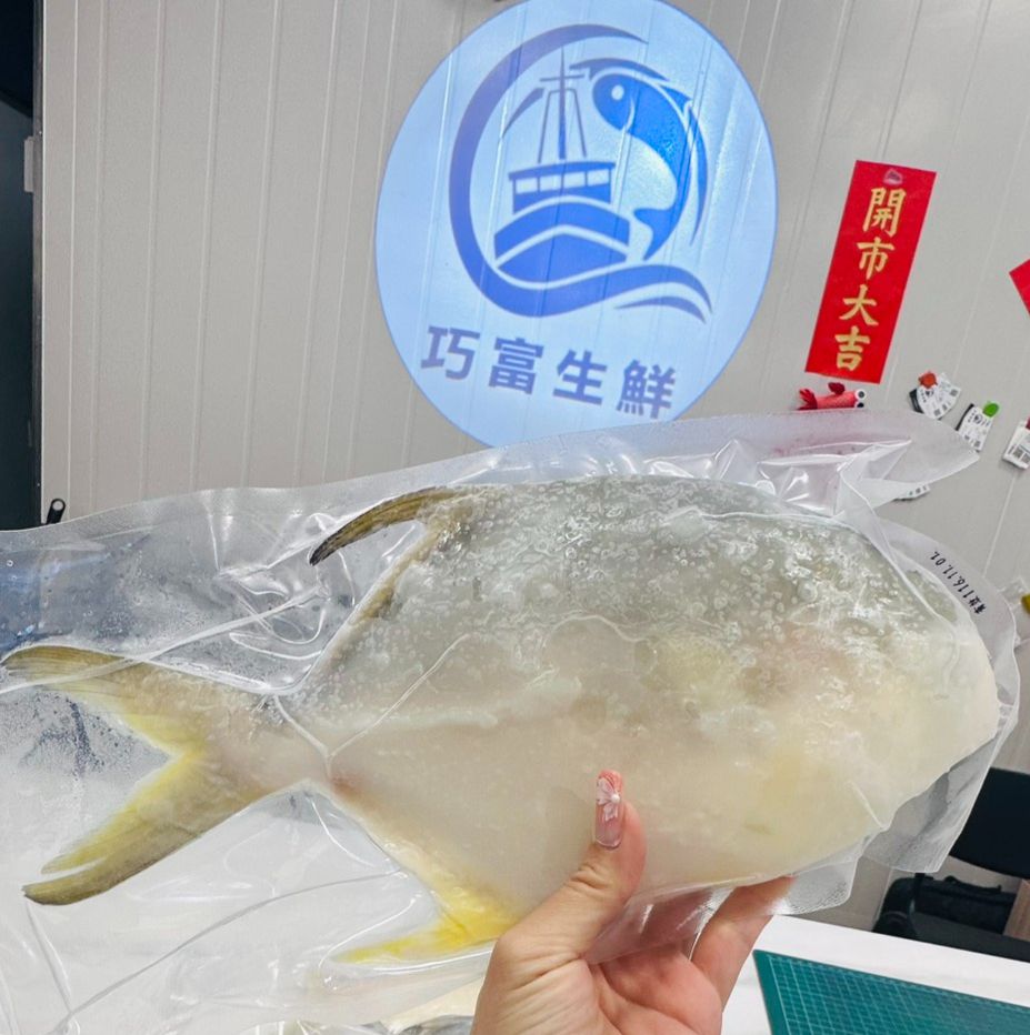 黃金鯧魚