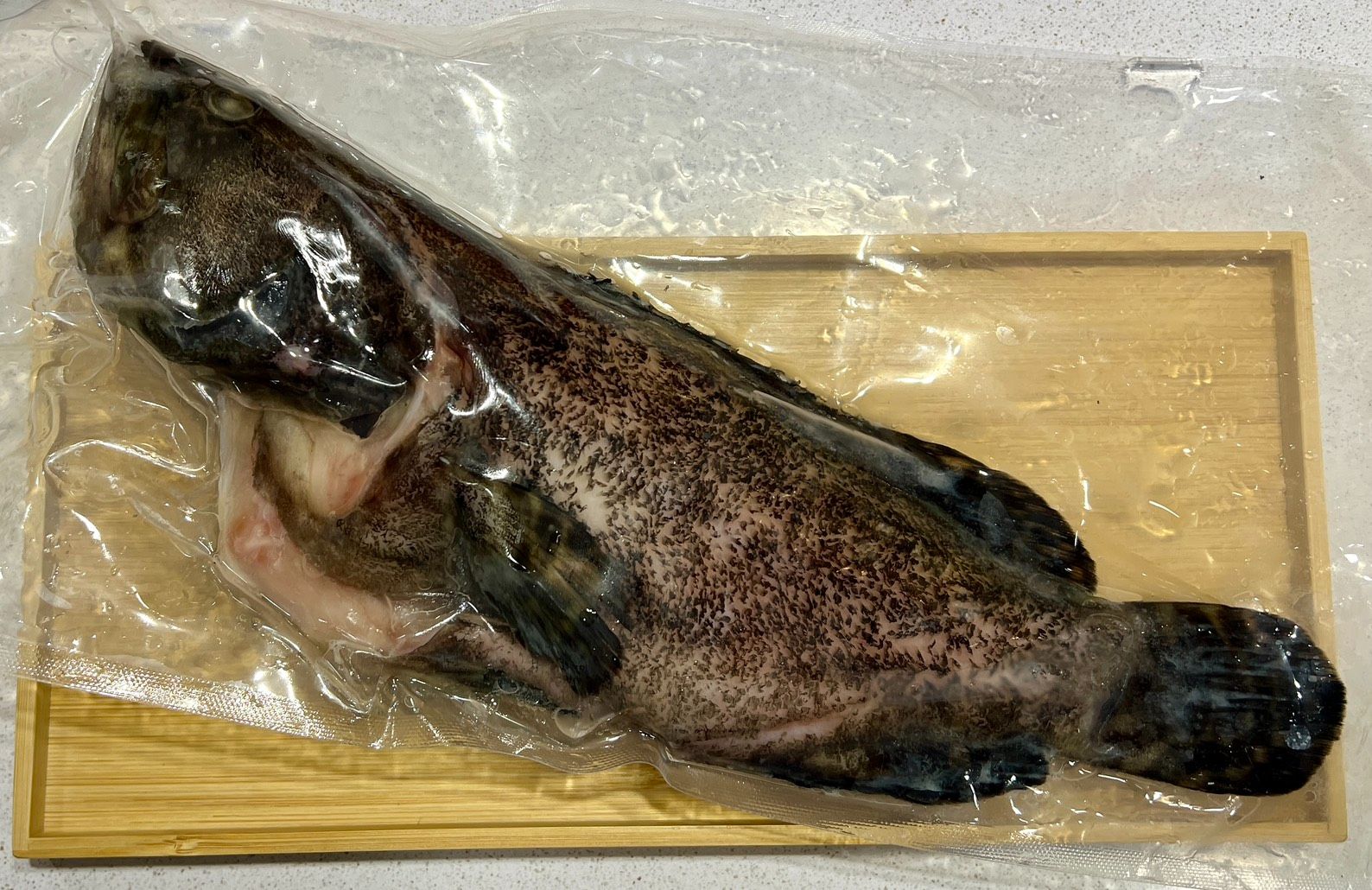 活魚三去龍虎斑