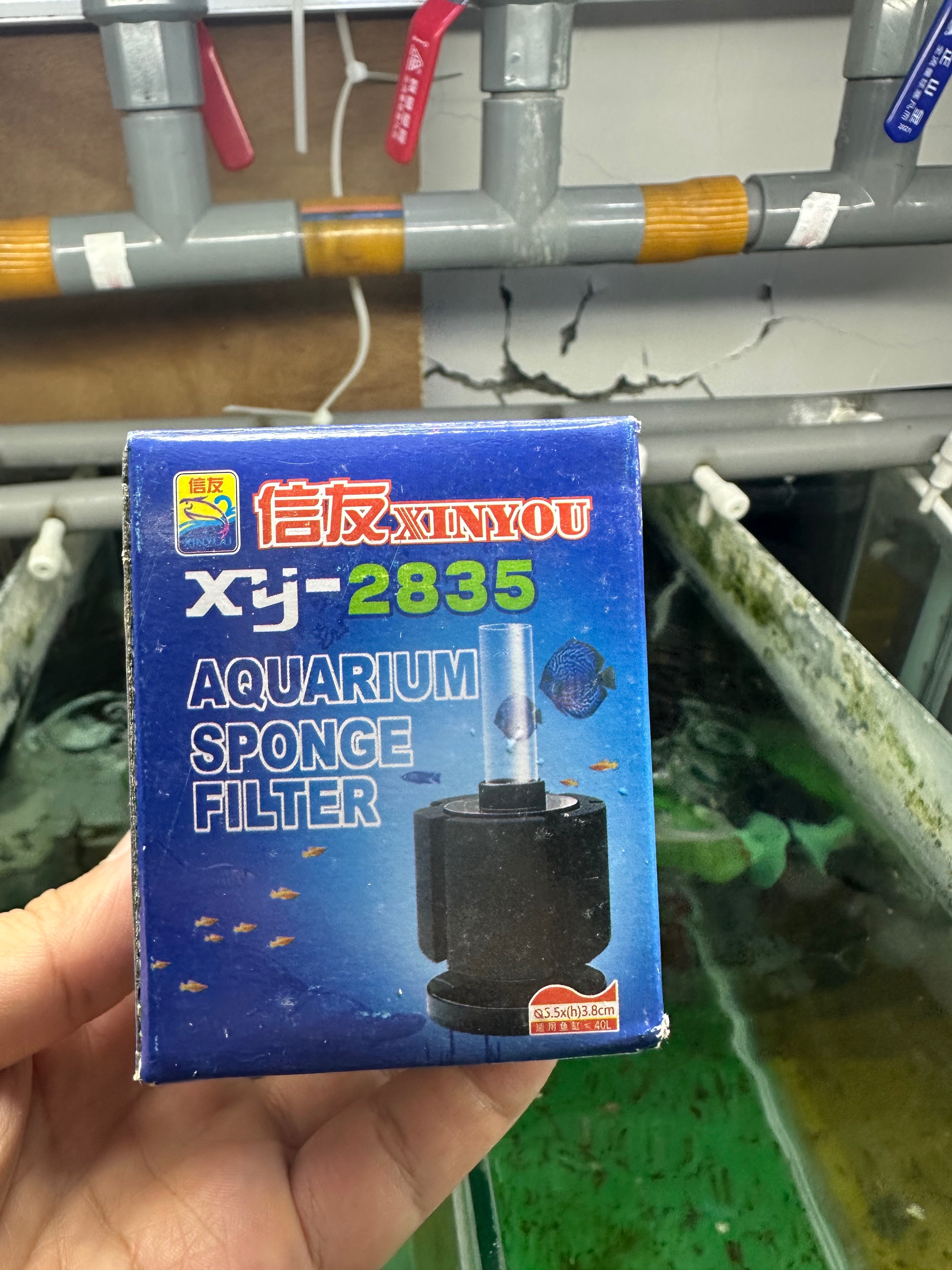 xy-2835 小坐式水妖精