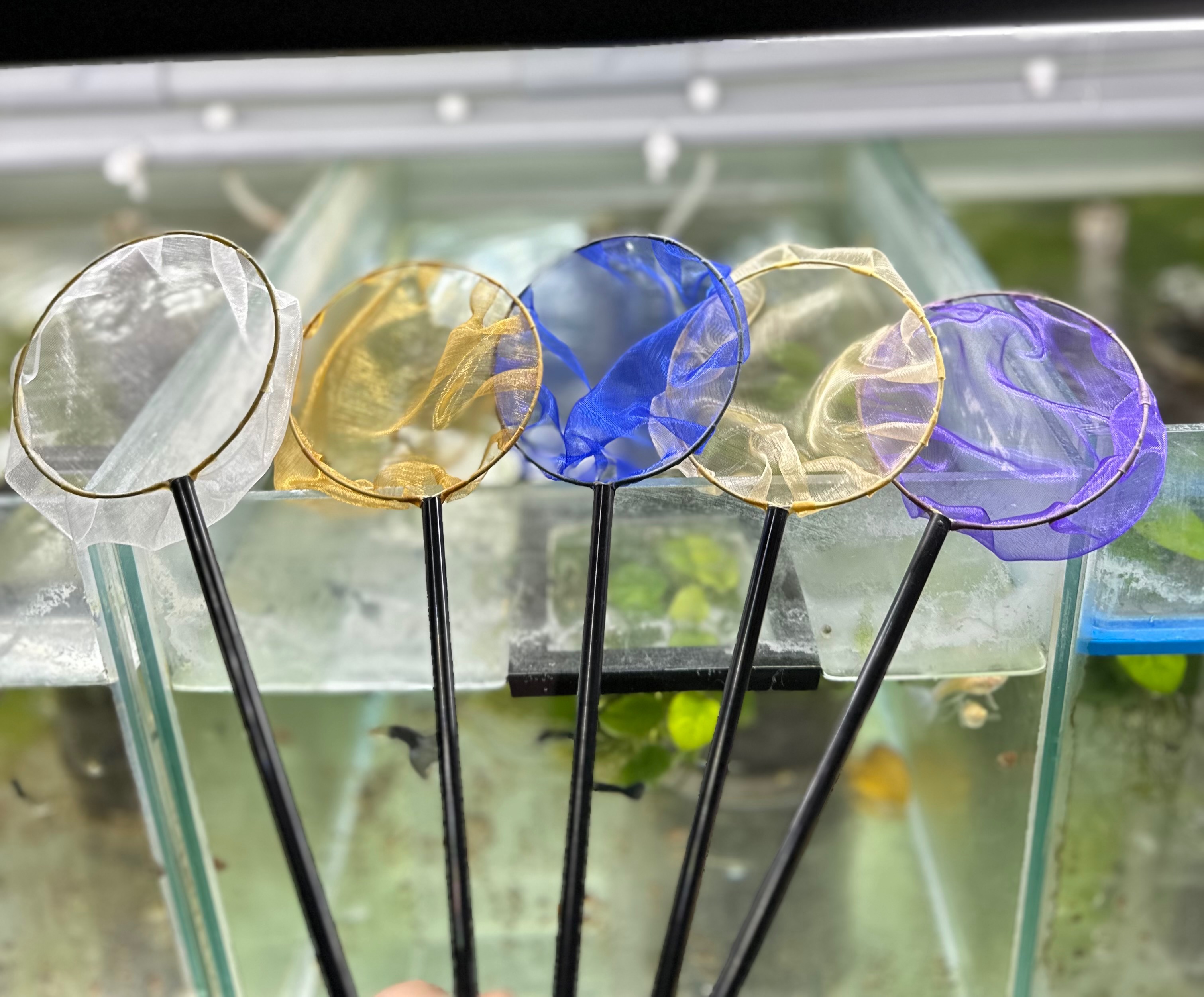 手工撈網—品質好、價格低、不傷魚、高cp值～新開賣特價中