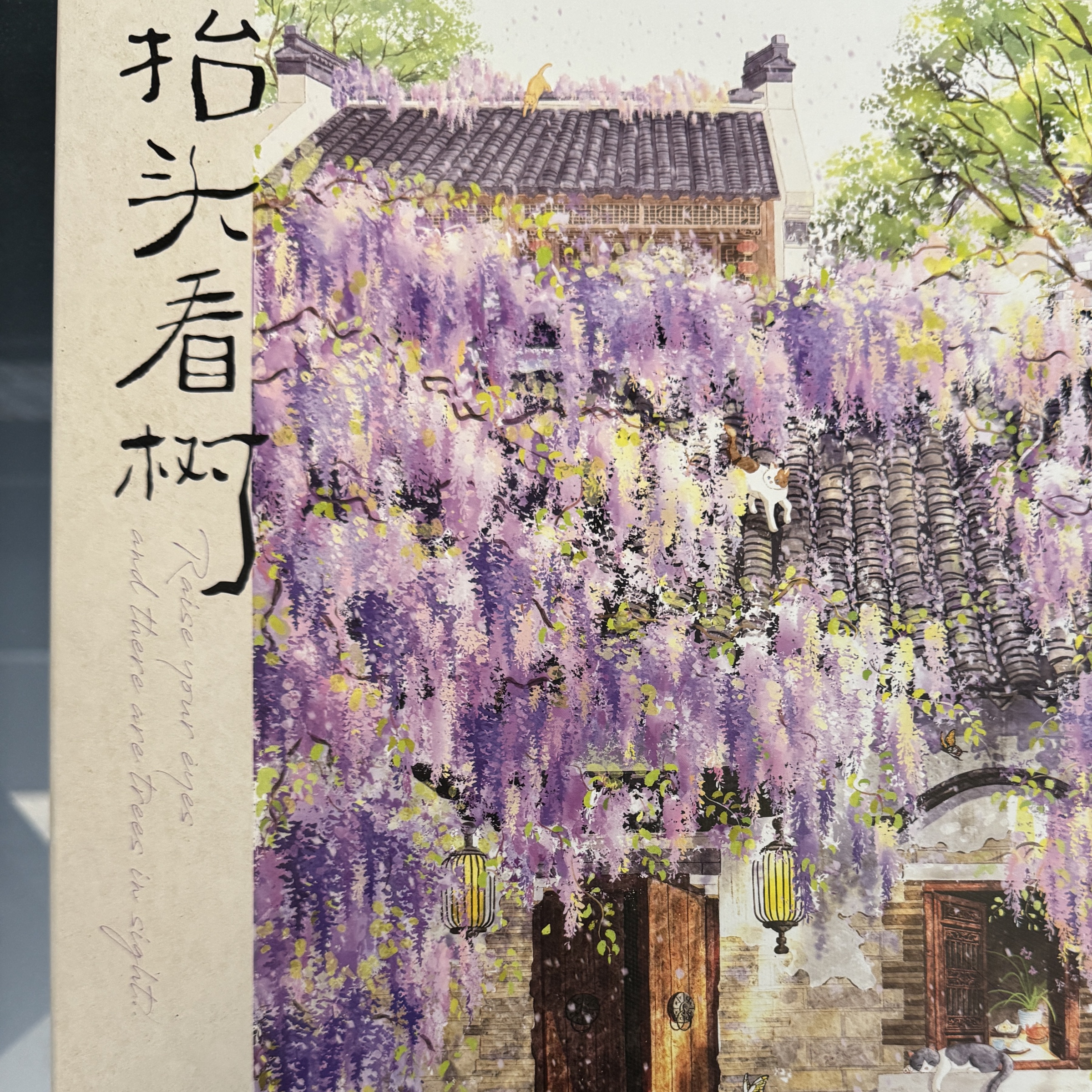 Toi-抬頭看樹系列 紫藤花下 1000p