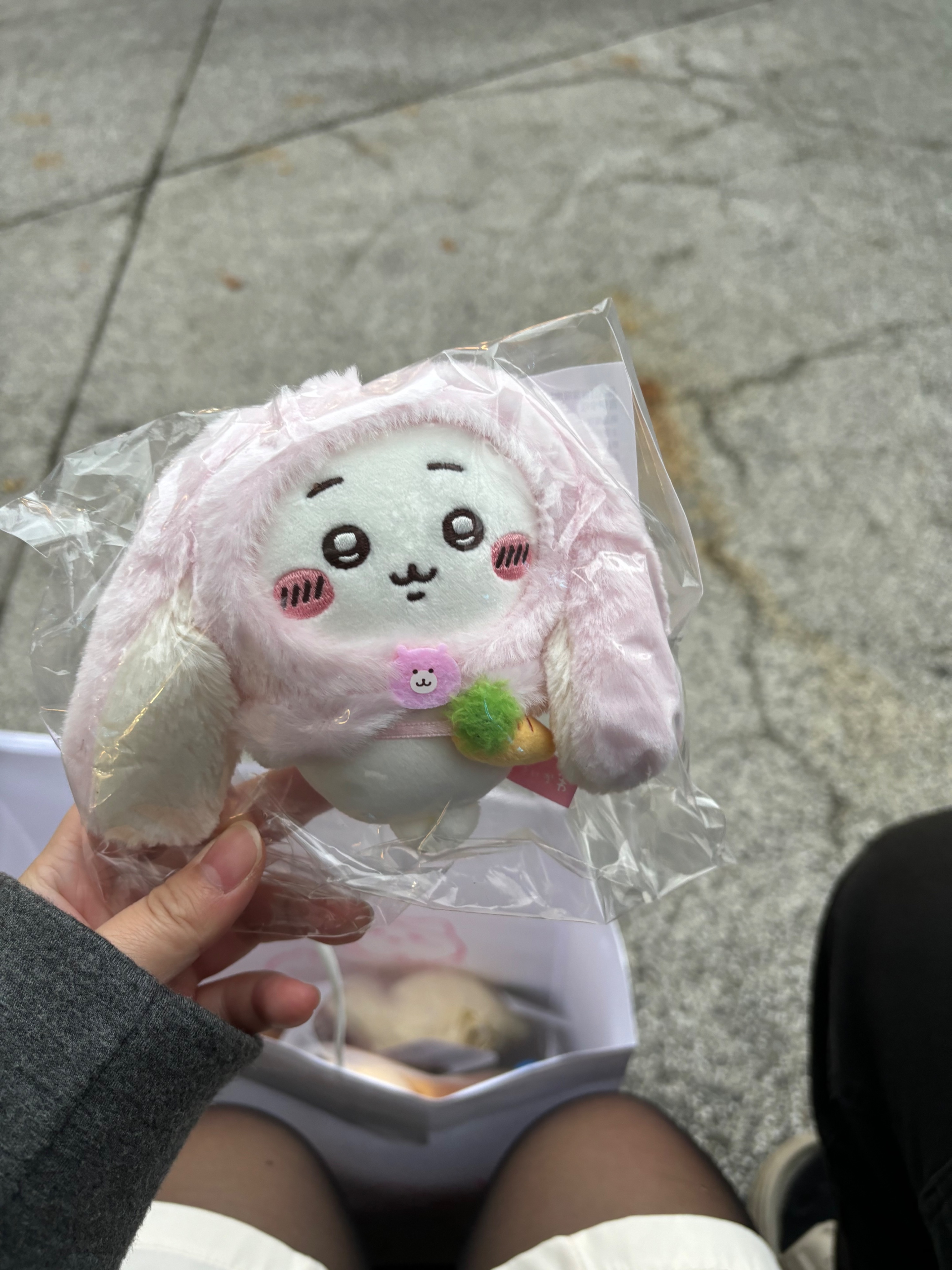 臺北常設店限定！