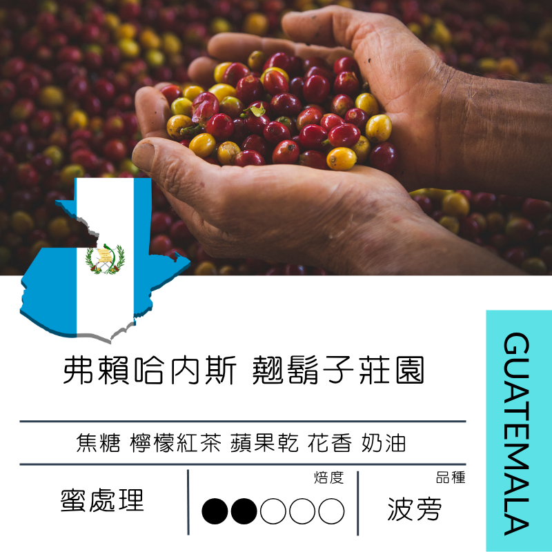 瓜地馬拉 弗賴哈內斯 翹鬍子莊園 波旁 蜜處理