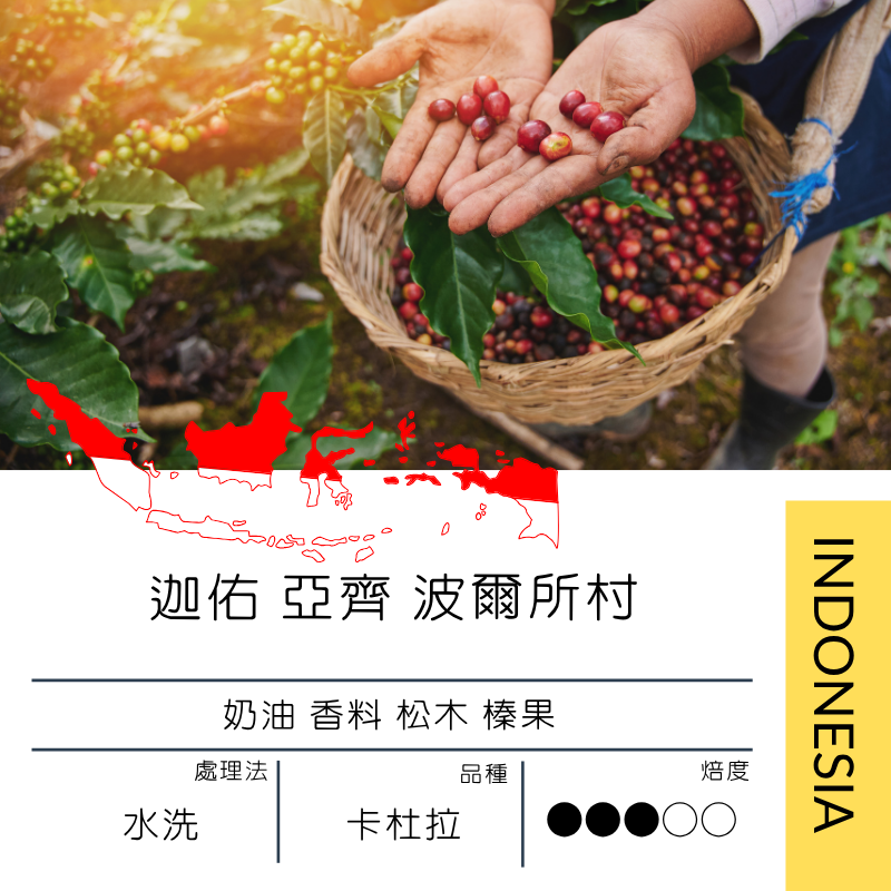 印尼 迦佑 亞齊 波爾所村 卡杜拉 水洗