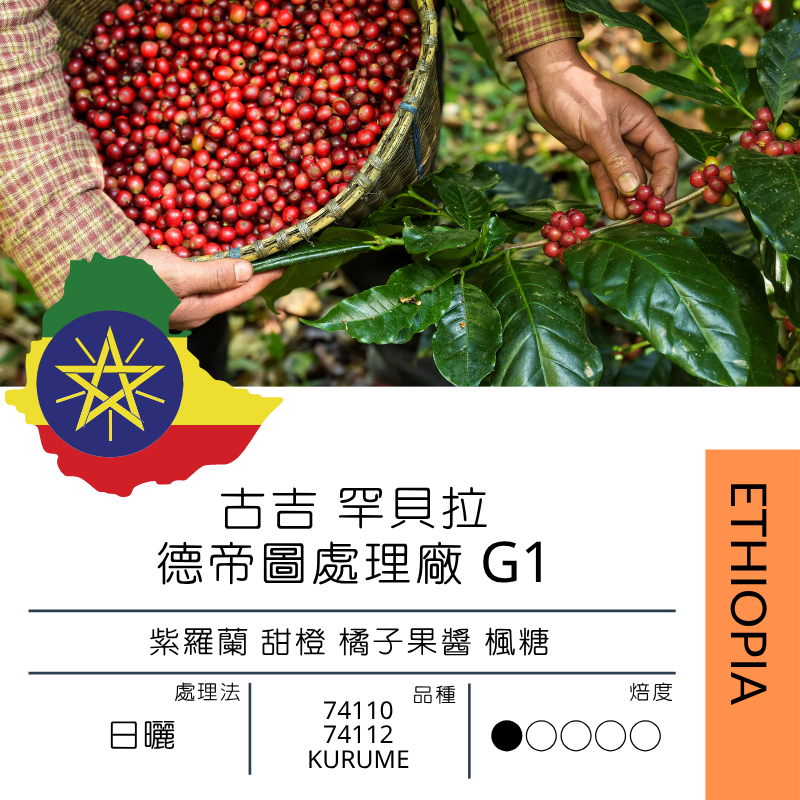 衣索比亞 古吉 罕貝拉 德帝圖處理廠 G1 74110  74112  kurume 日曬