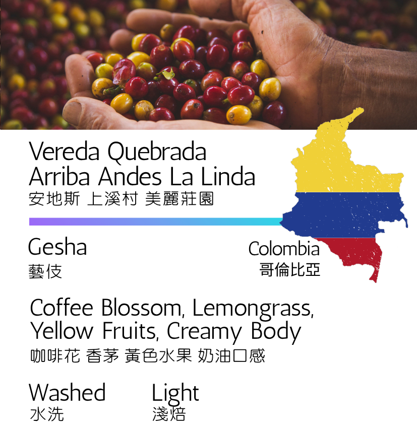 哥倫比亞 安地斯 上溪村 美麗莊園 藝伎 水洗