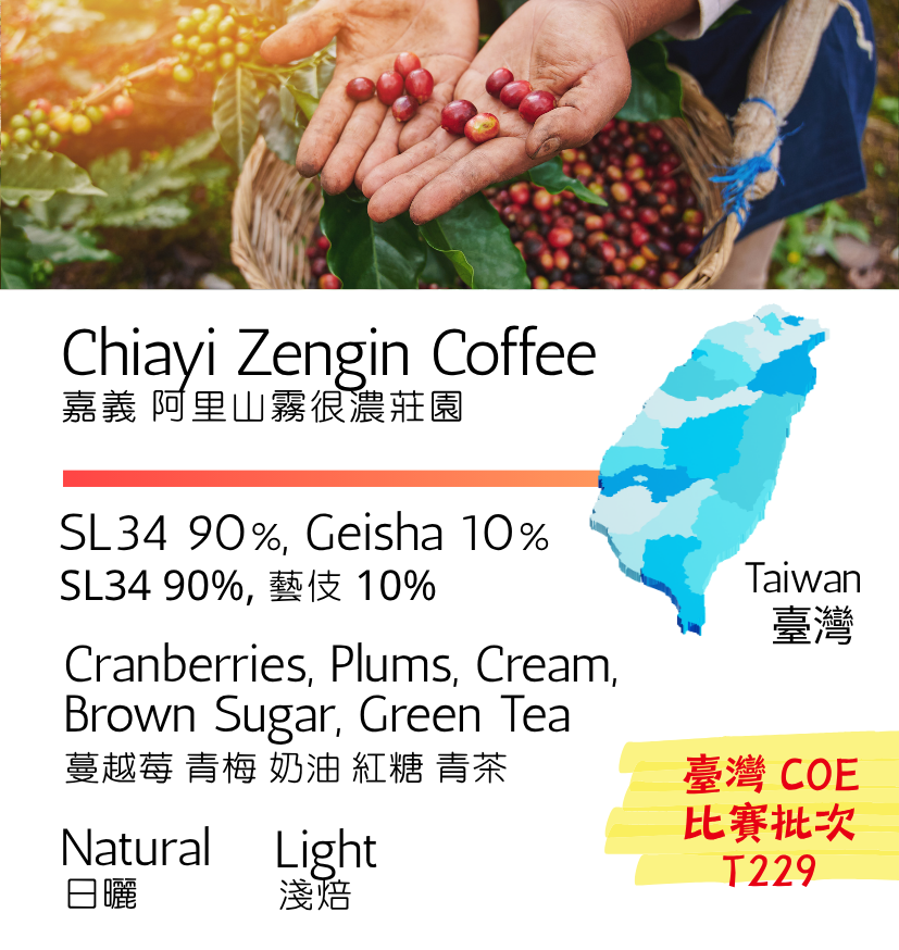 臺灣 嘉義 阿里山霧很濃莊園 SL34 90% 藝伎 10% 日曬