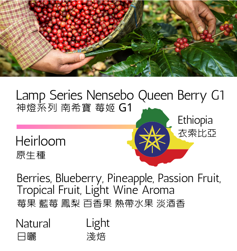 衣索比亞 神燈系列 南希寶 莓姬 G1 原生種 日曬