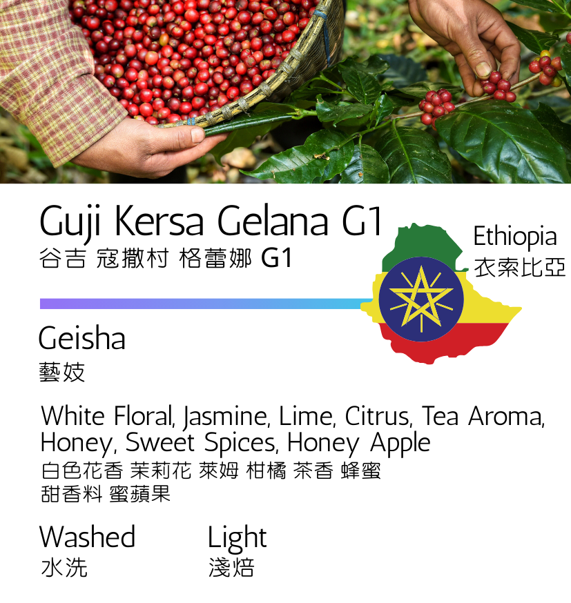 衣索比亞 谷吉 寇撒村 格蕾娜 G1 藝妓 水洗