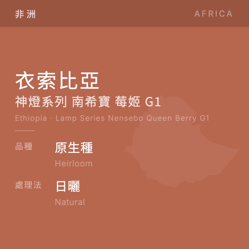 衣索比亞 神燈系列 南希寶 莓姬 G1 原生種 日曬