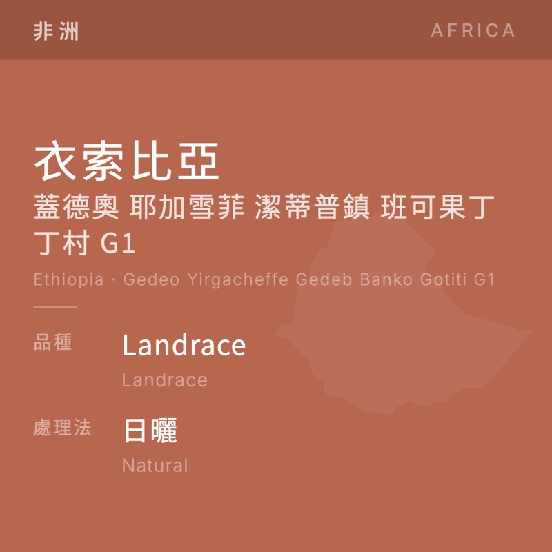衣索比亞 蓋德奧 耶加雪菲 潔蒂普鎮 班可果丁丁村 G1 Landrace 日曬