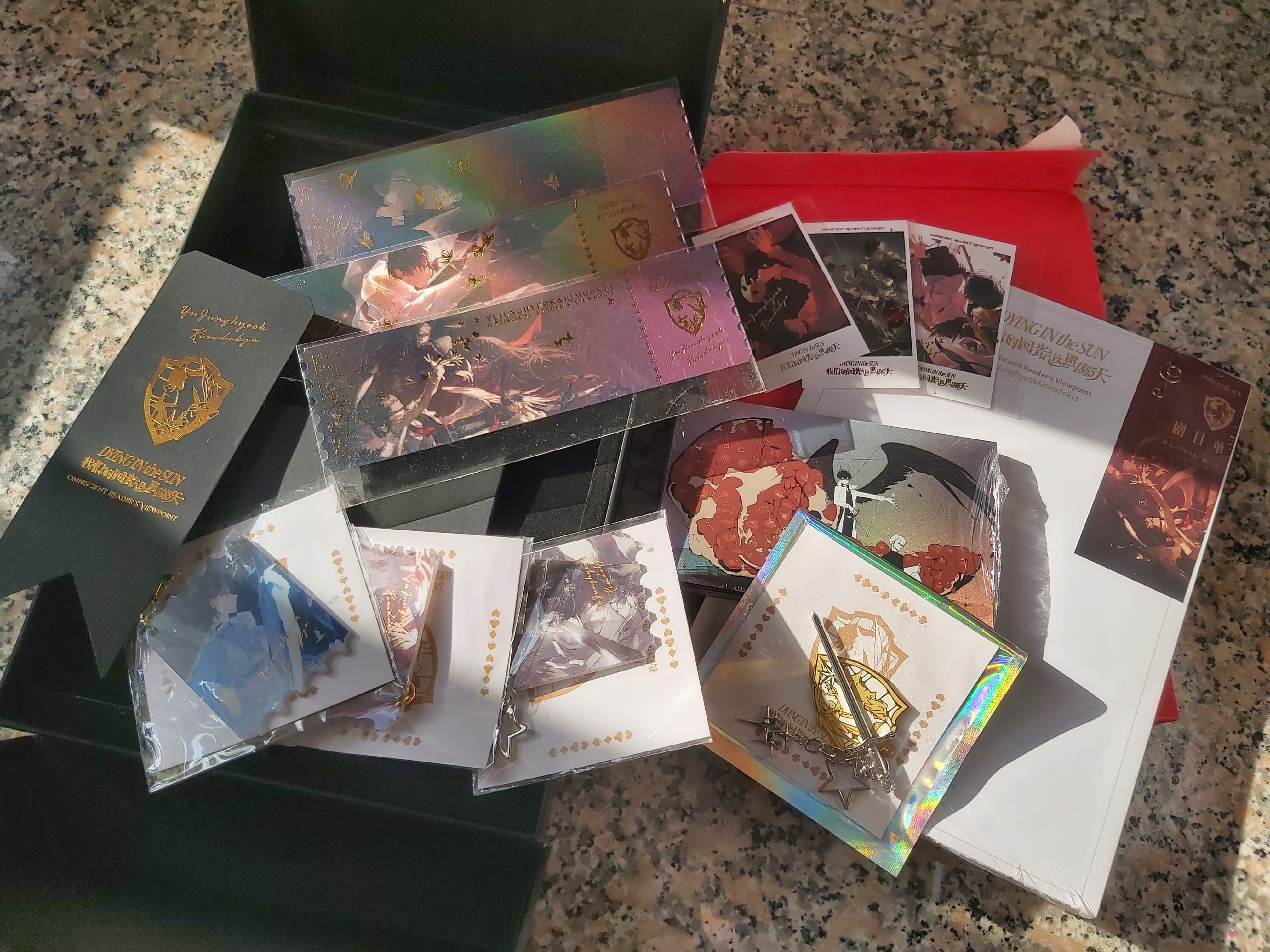 有損 全知讀者視角同人 dying in the sun 我們的回光反照1865天 海報禮盒