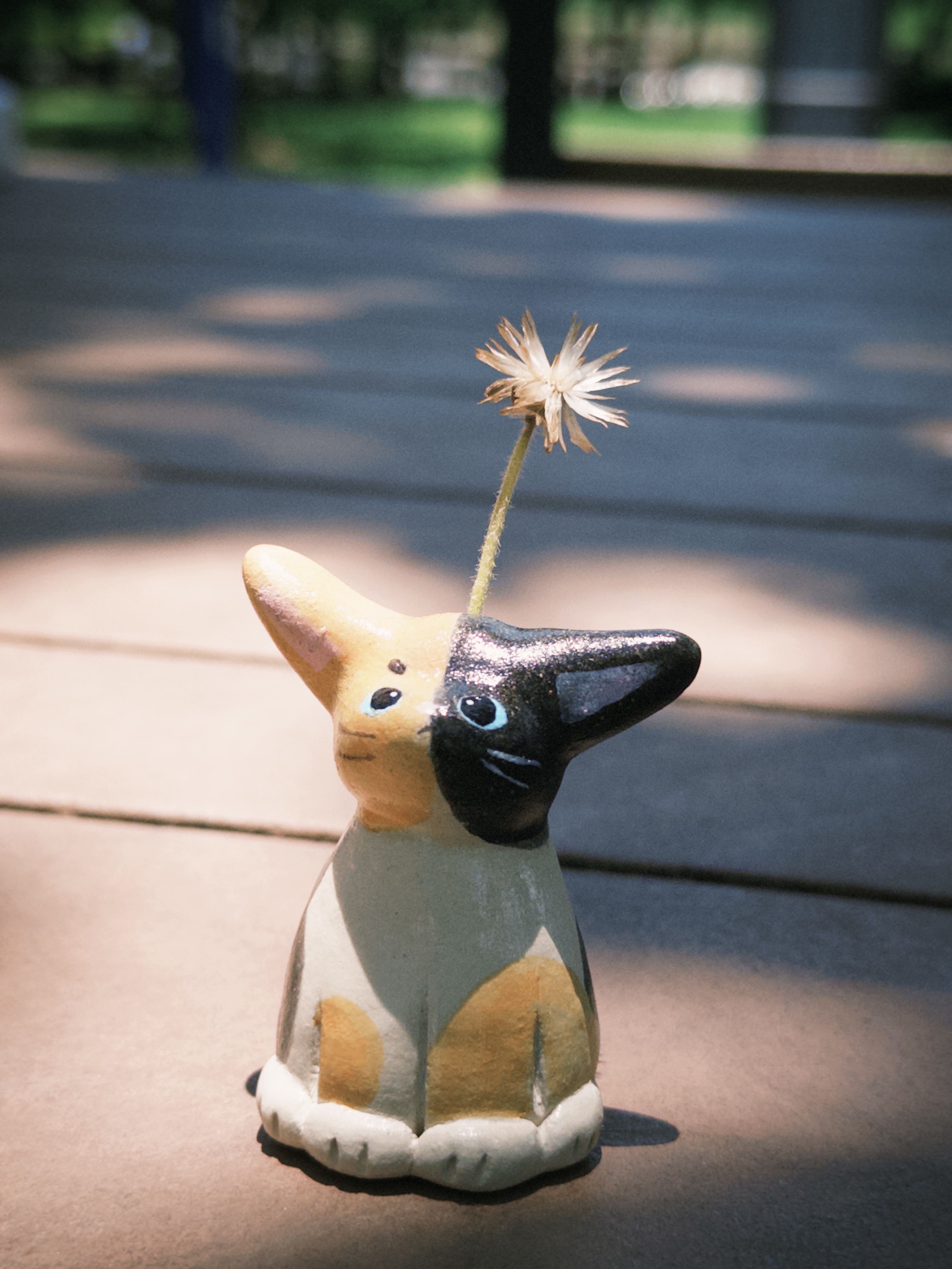 小猫花插｜小三花