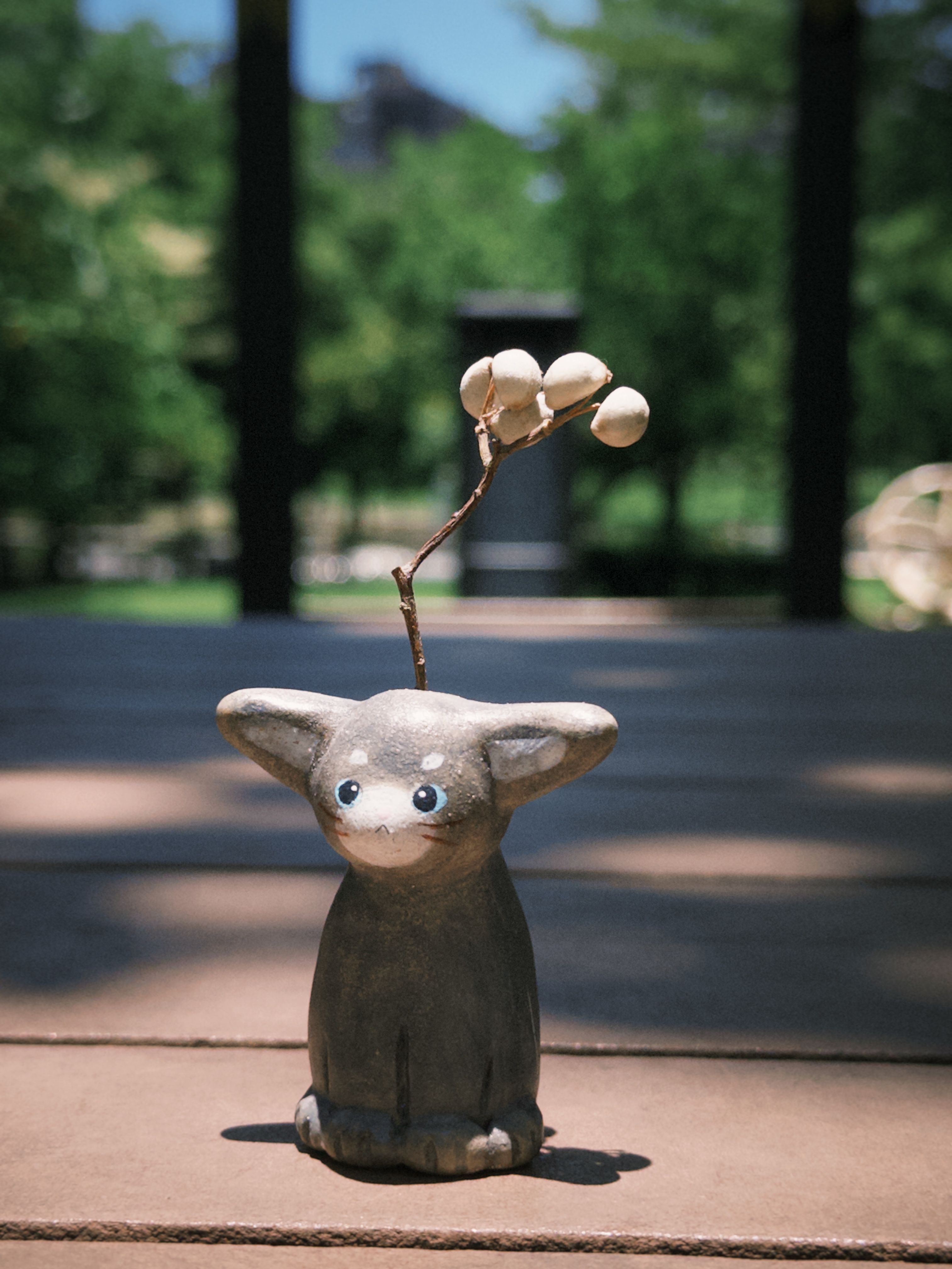 小猫花插｜尤達灰灰