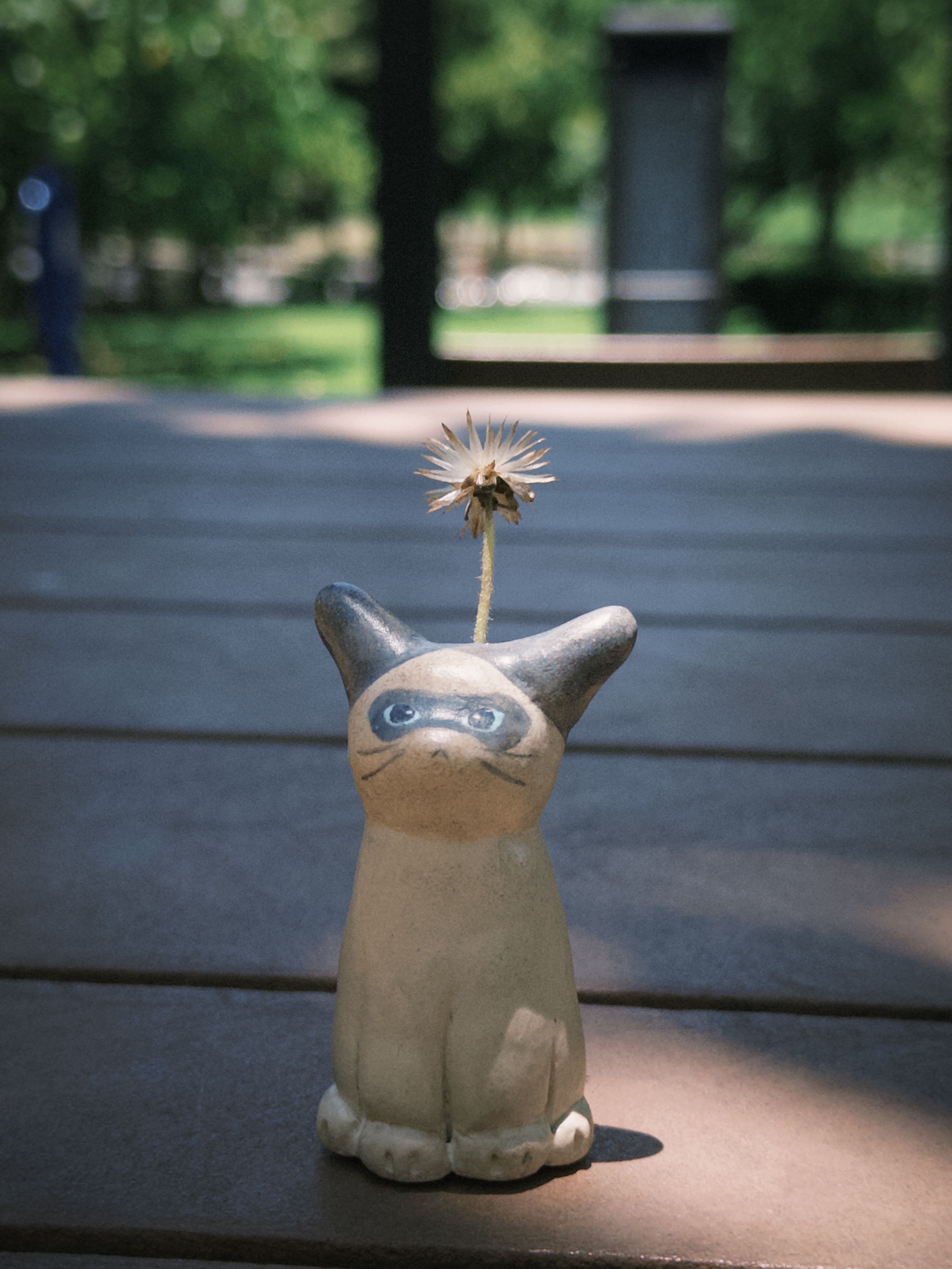 小猫花插｜小偷猫