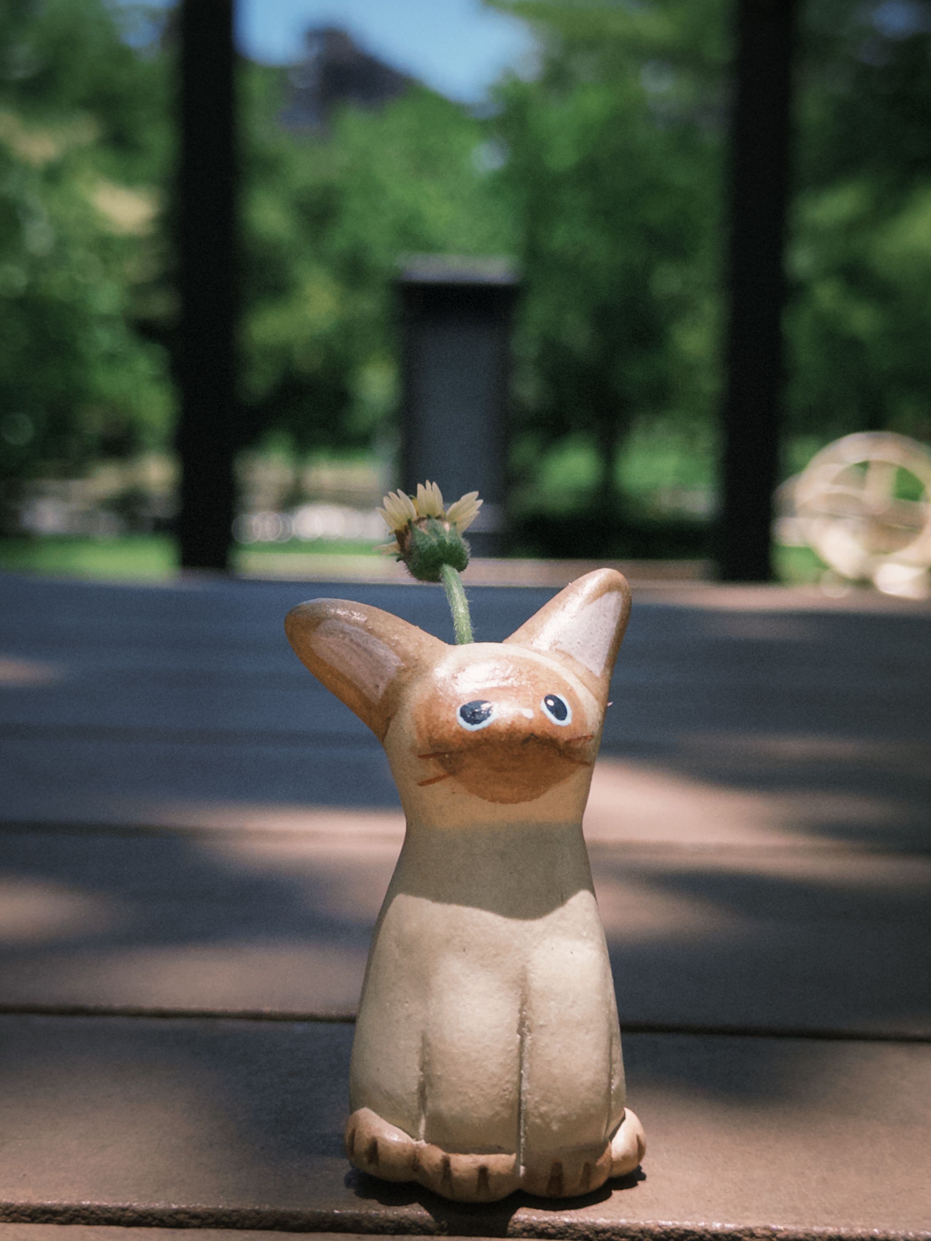 小猫花插｜小麵包