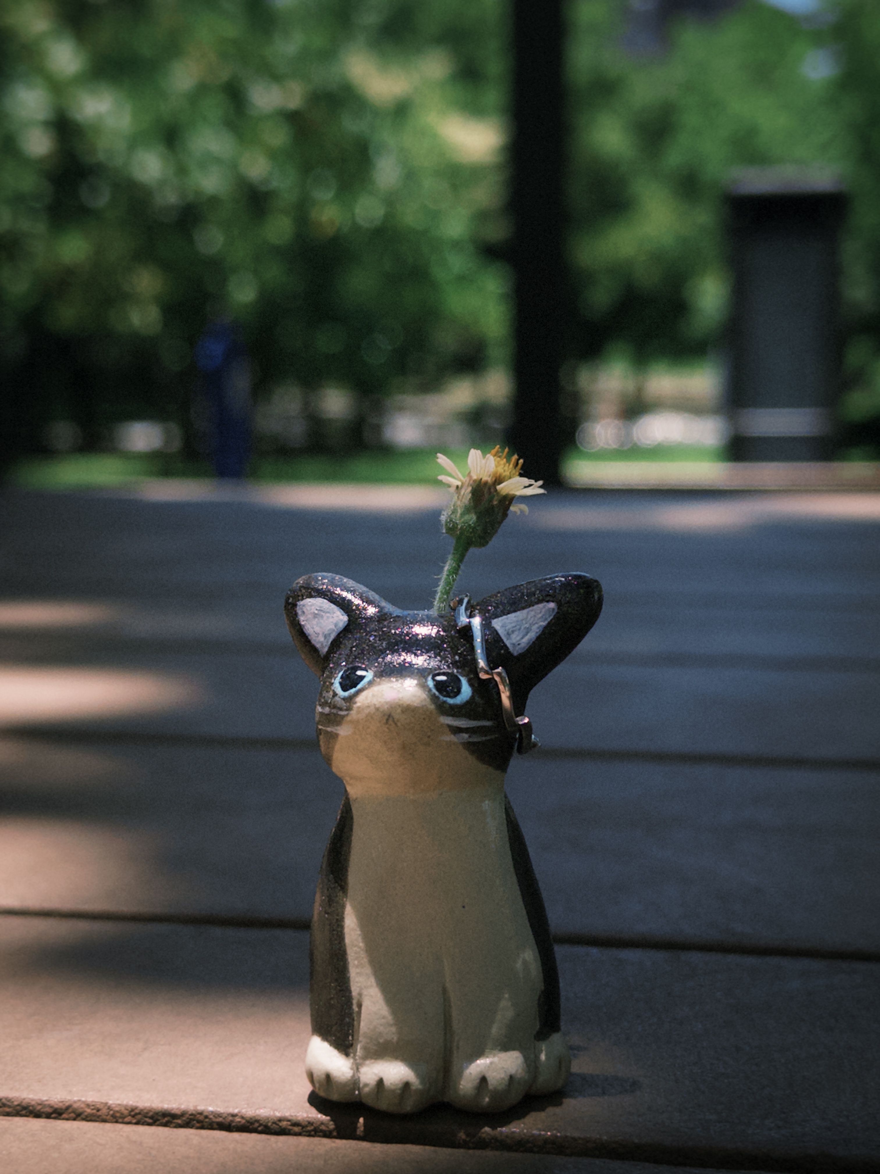 小猫花插｜小逗號