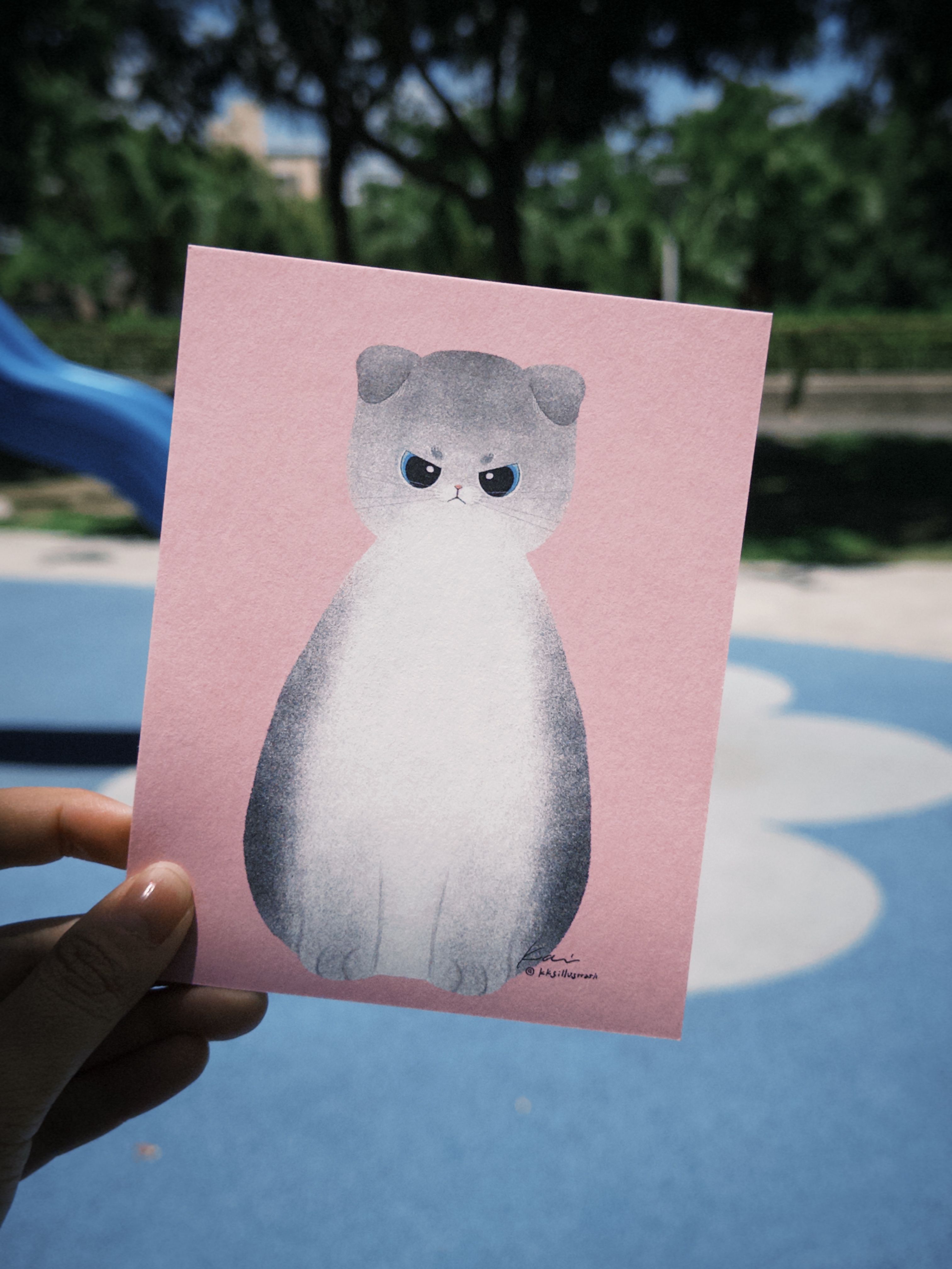 小猫明信片｜生氣小灰