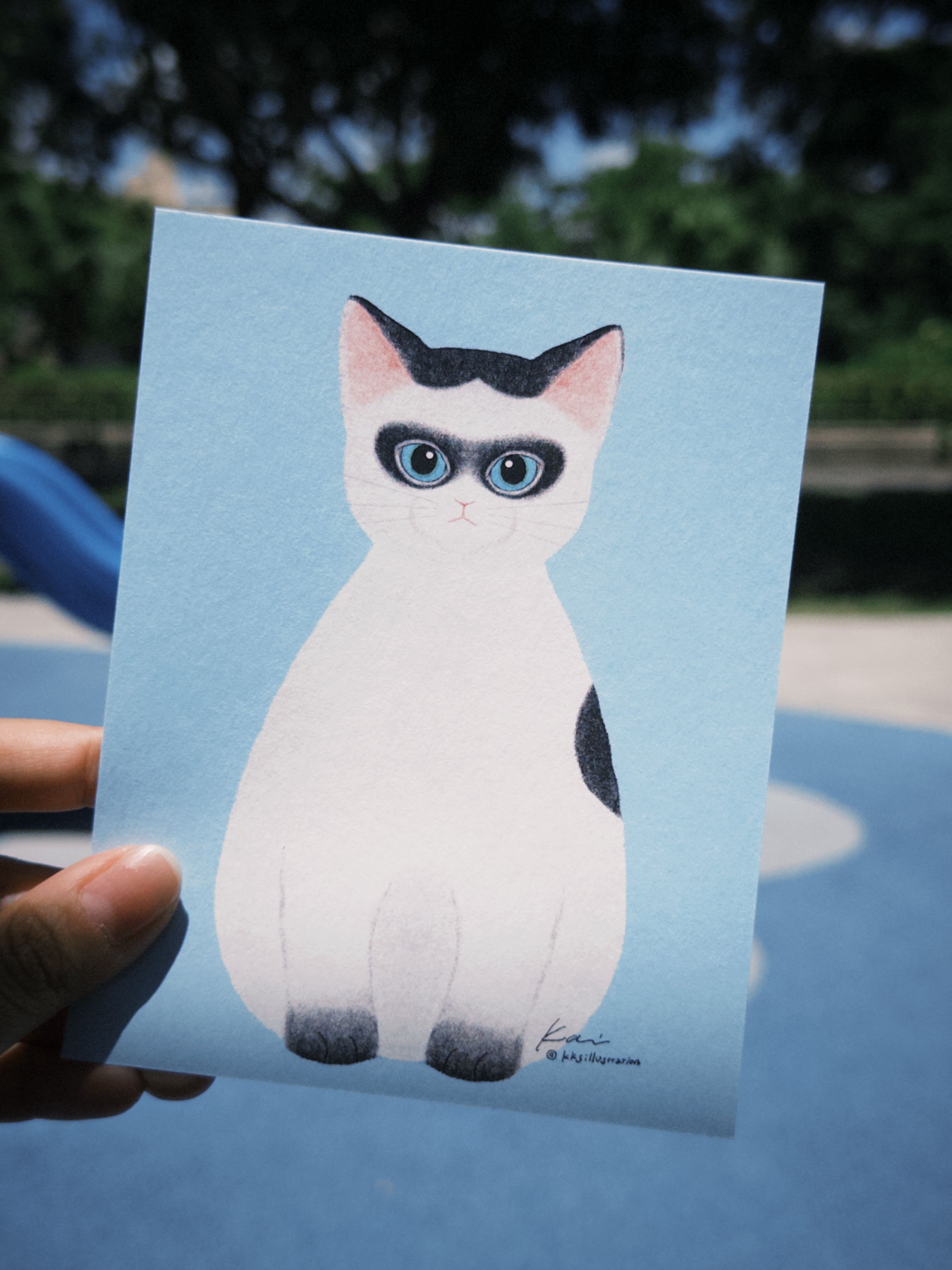 小猫明信片｜蒙面小偷