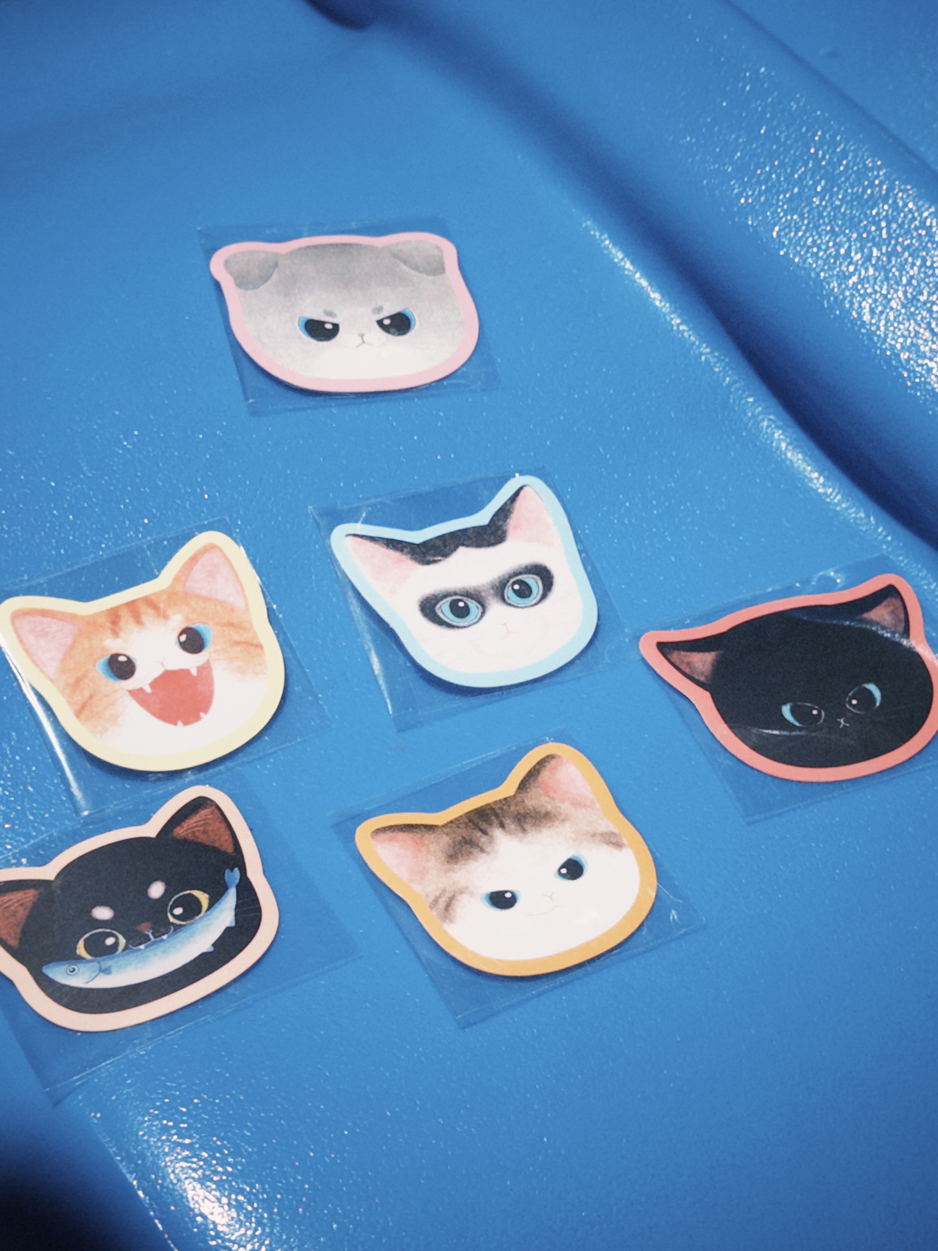 小小猫防水貼紙