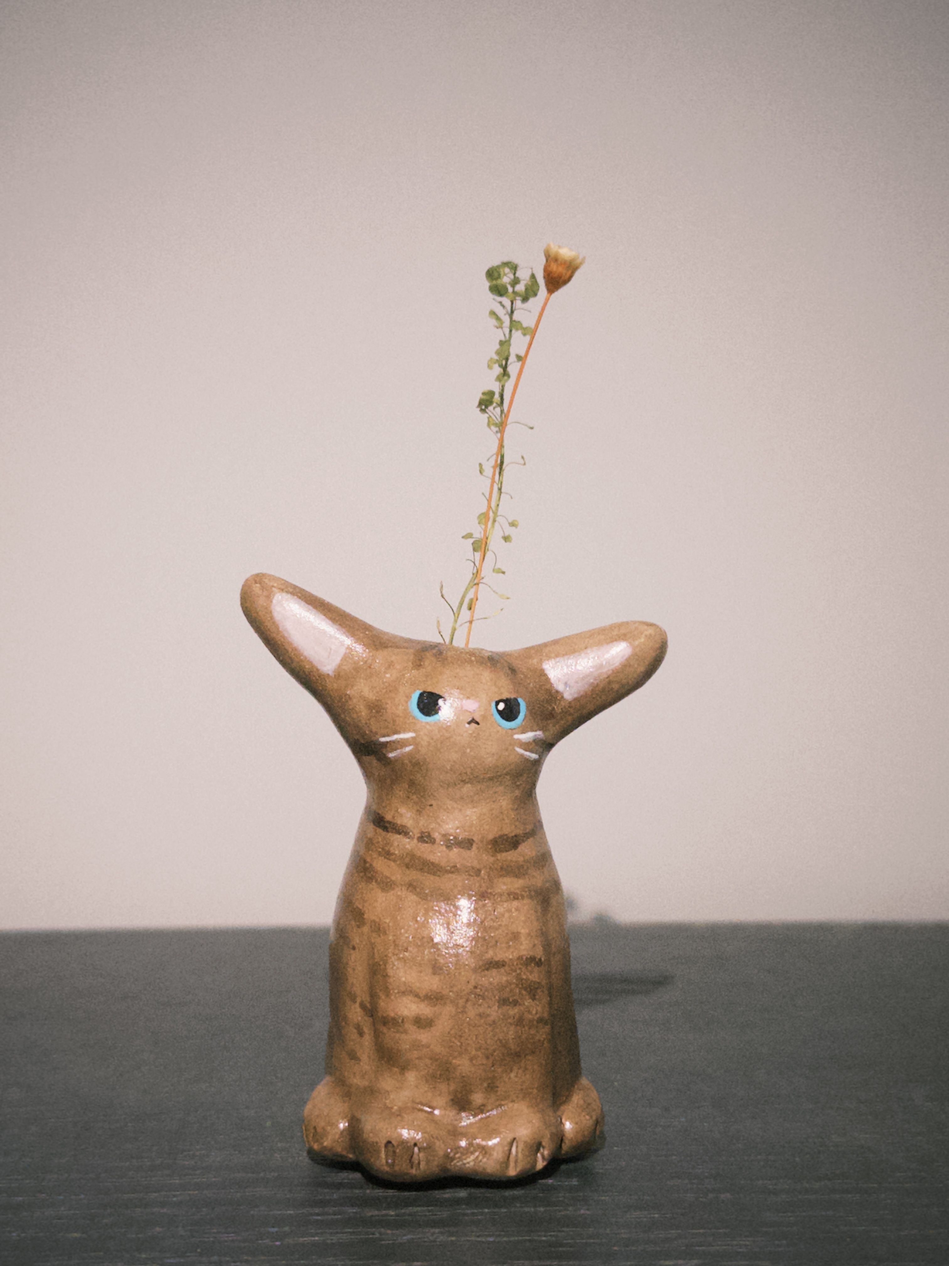 小猫花插 2｜小虎