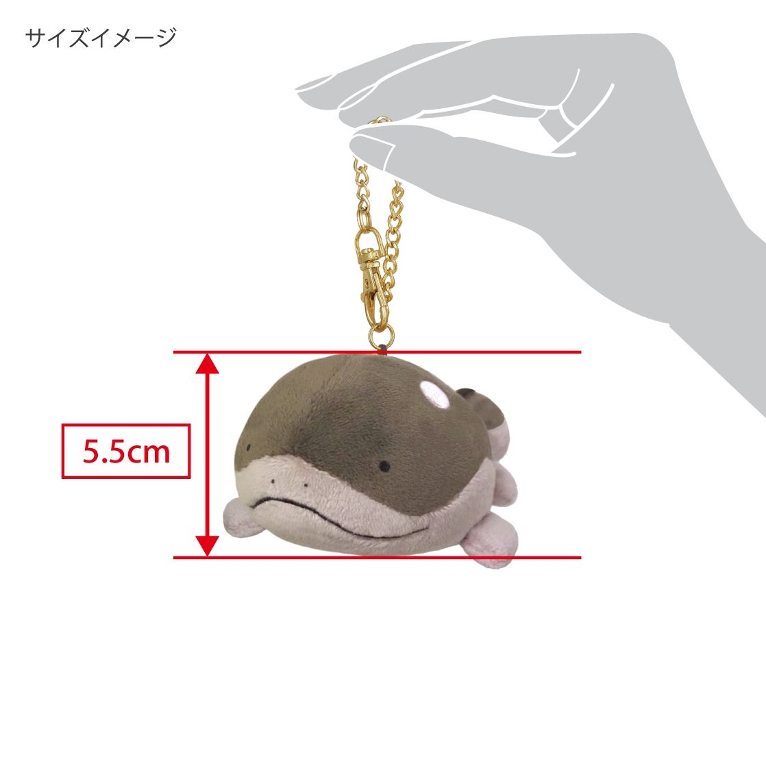 寶可夢 神奇寶貝 日本購入周邊