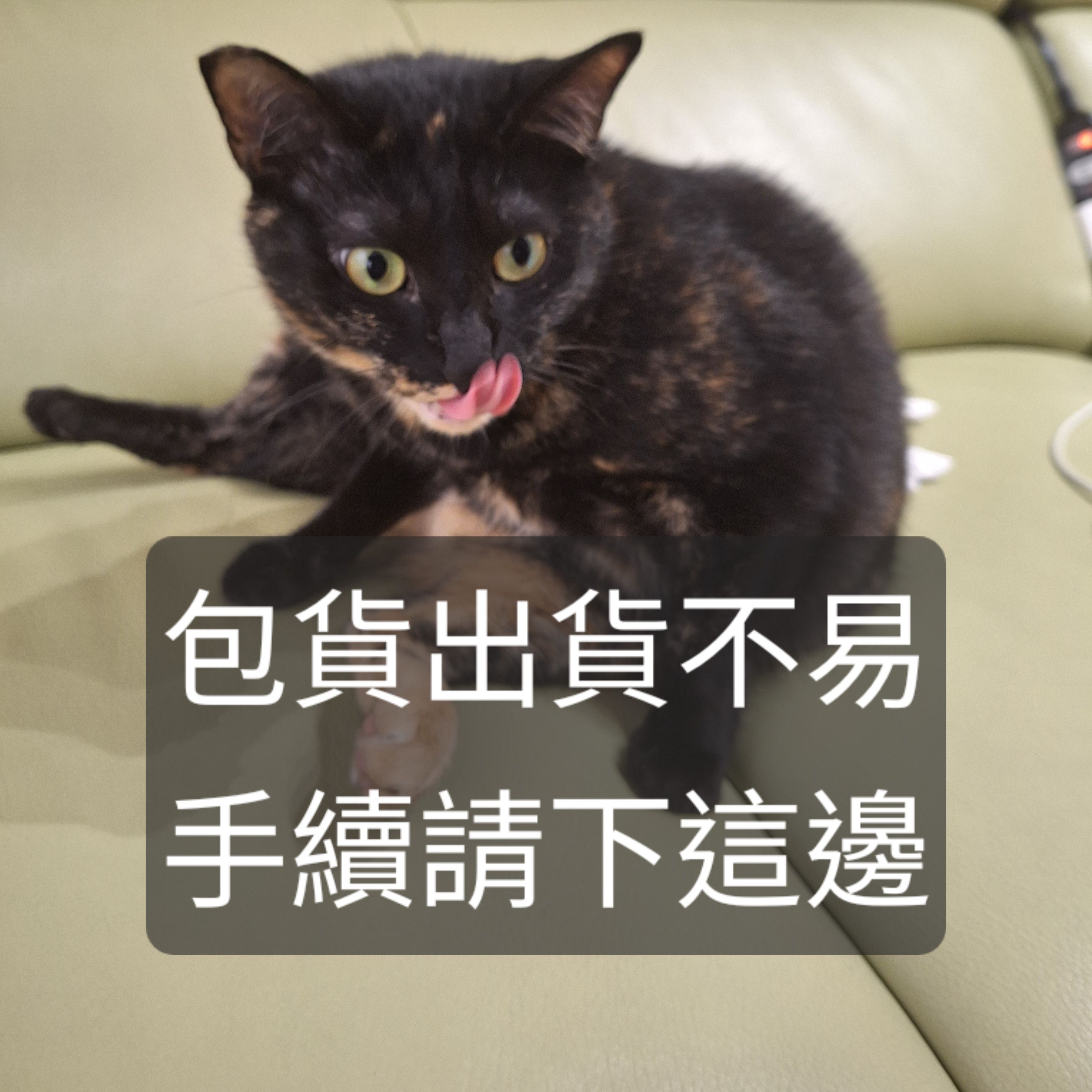 〔包手〕下單處