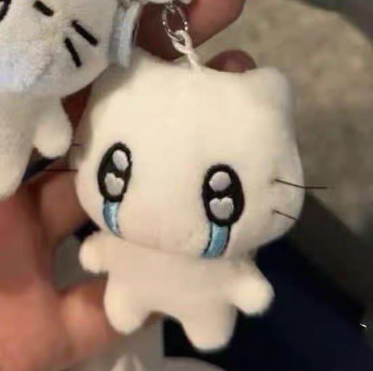預購.哭泣貓吊飾