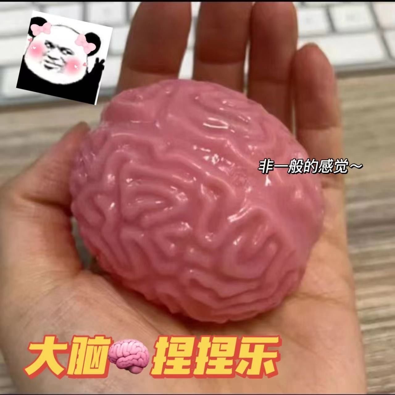 大腦🧠捏捏樂