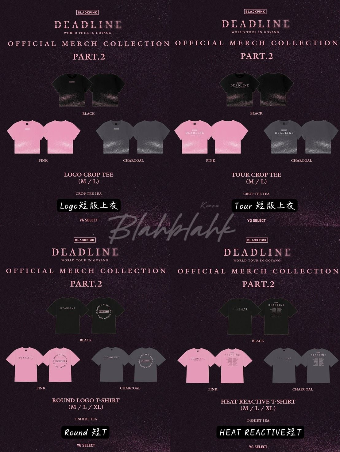 BLACKPINK 2025 世巡高陽場 周邊 PART.2