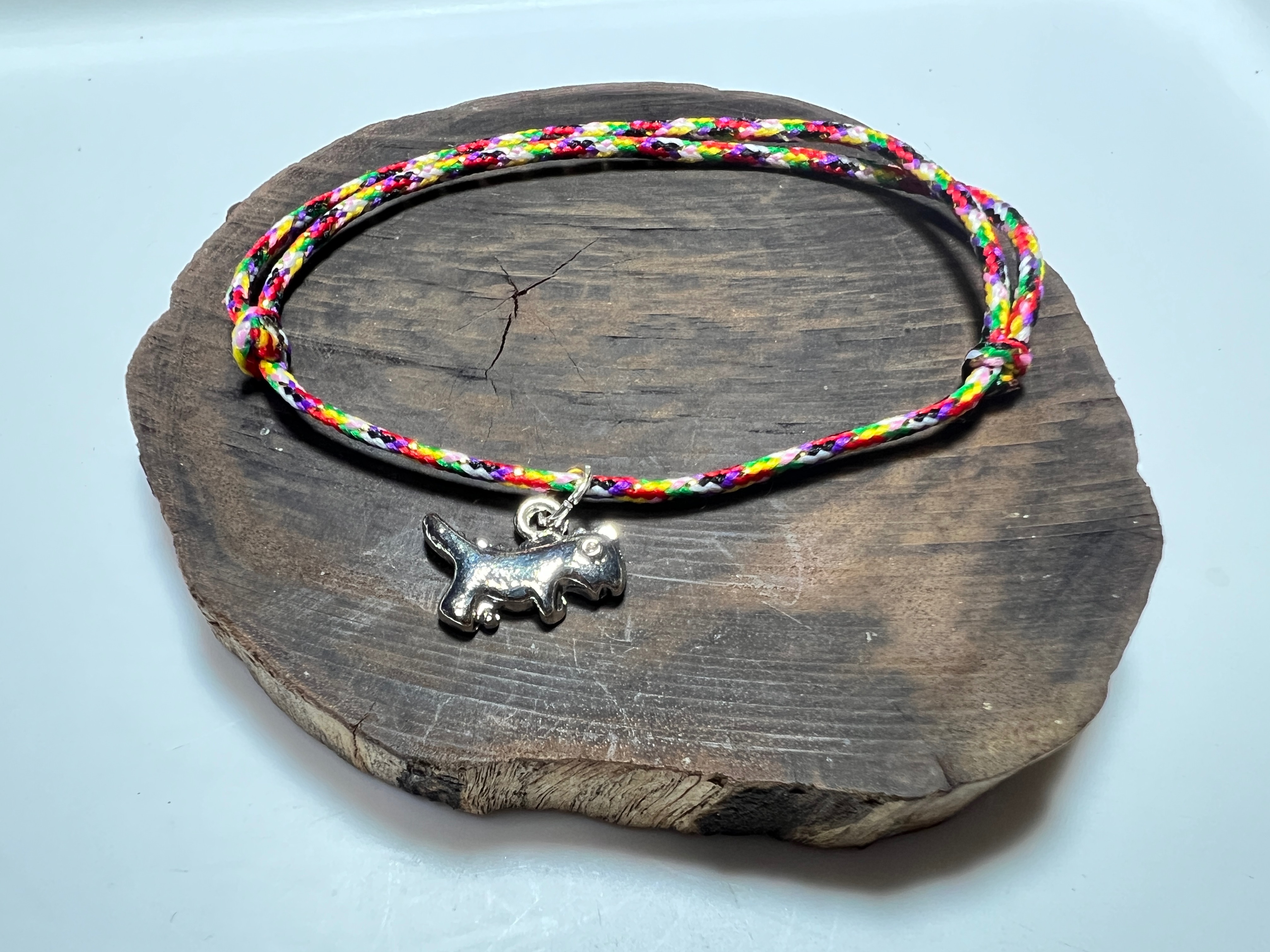 守護龍寶｜金蔥七色能量線 ✕ 恐龍款