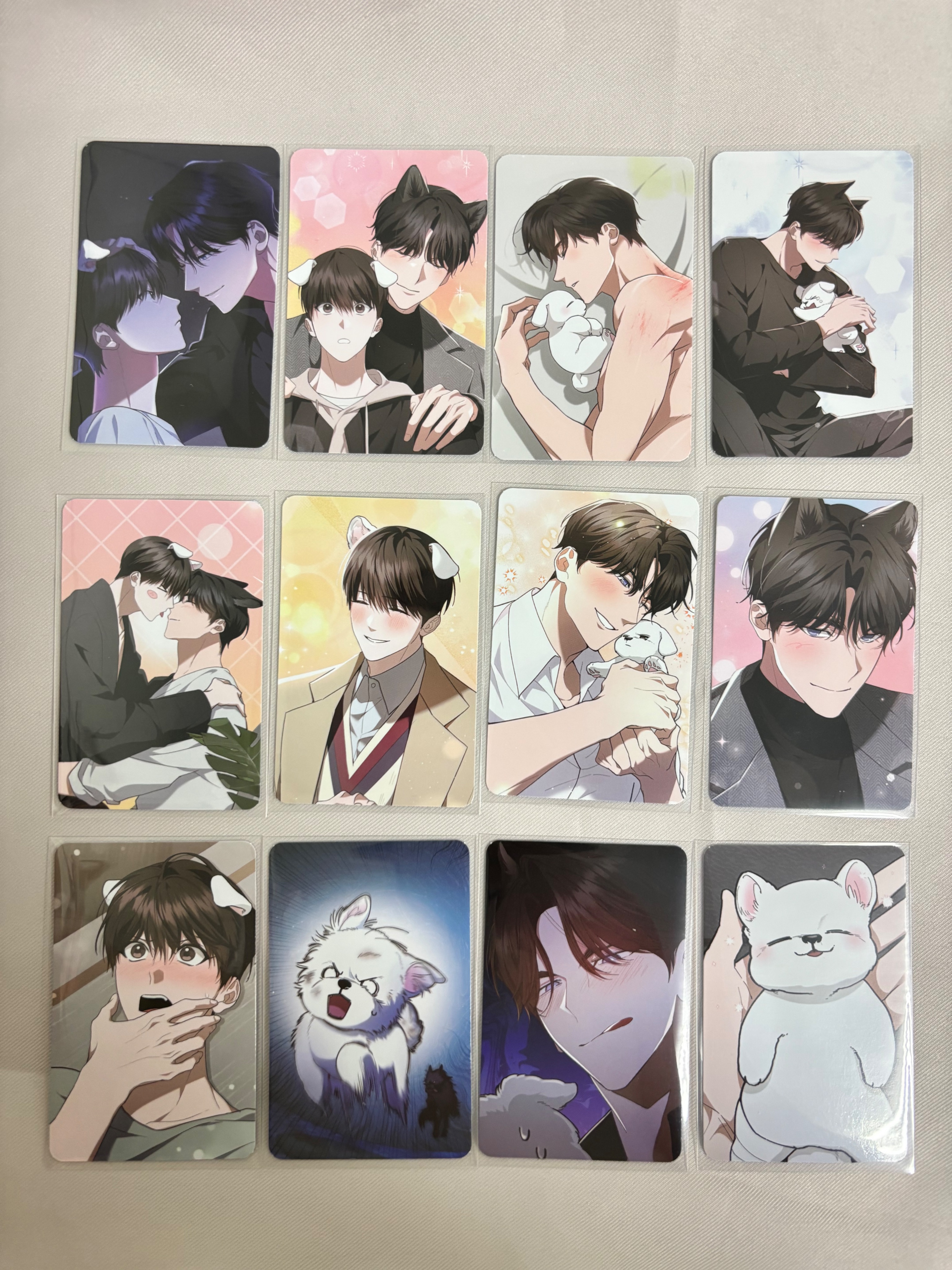 不要欺負小狗