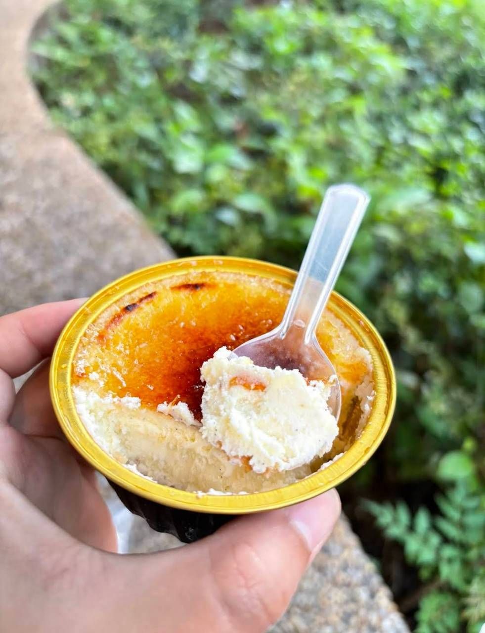 馬斯卡彭乳酪蛋糕