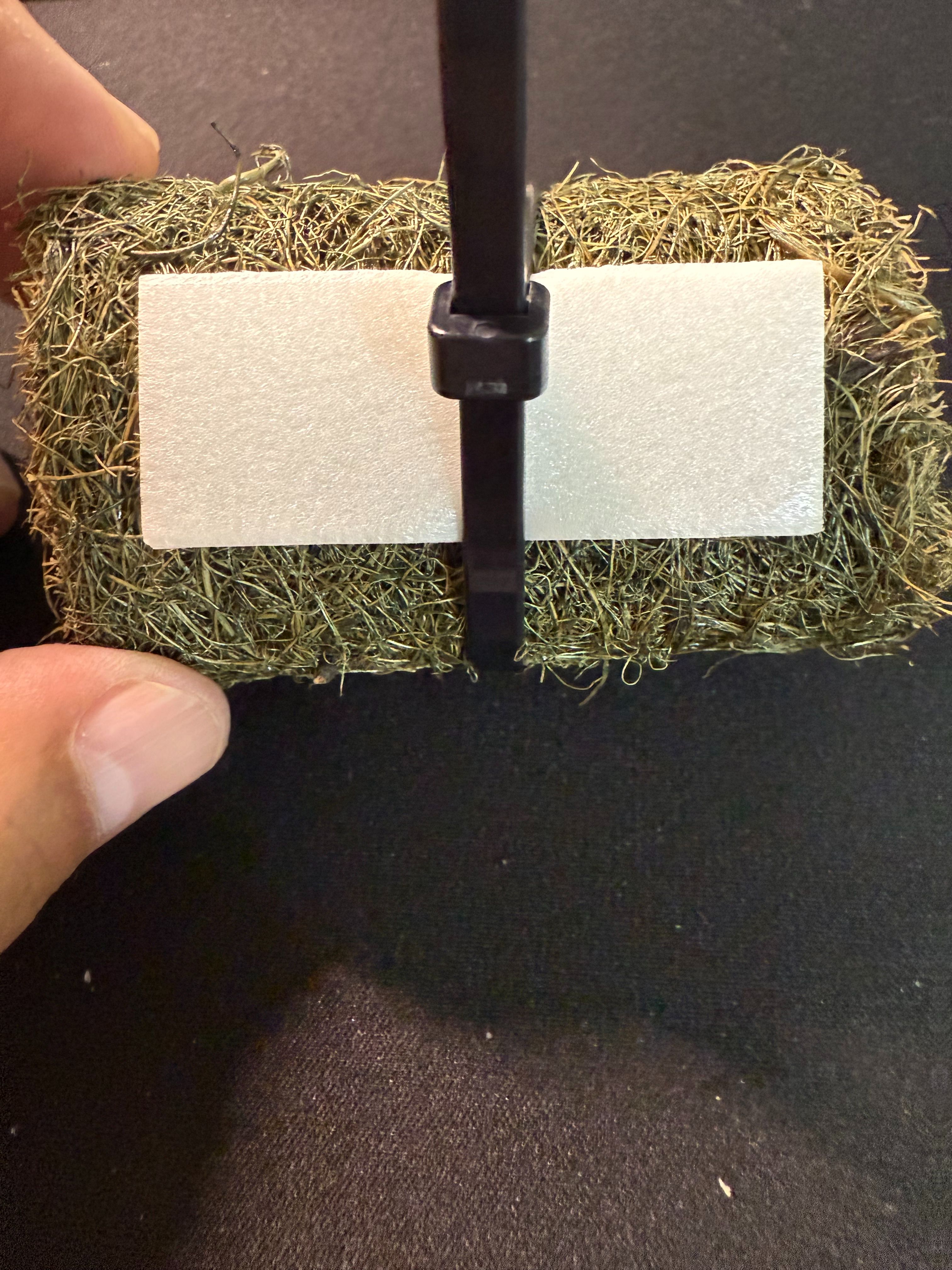 棕櫚型集卵器
