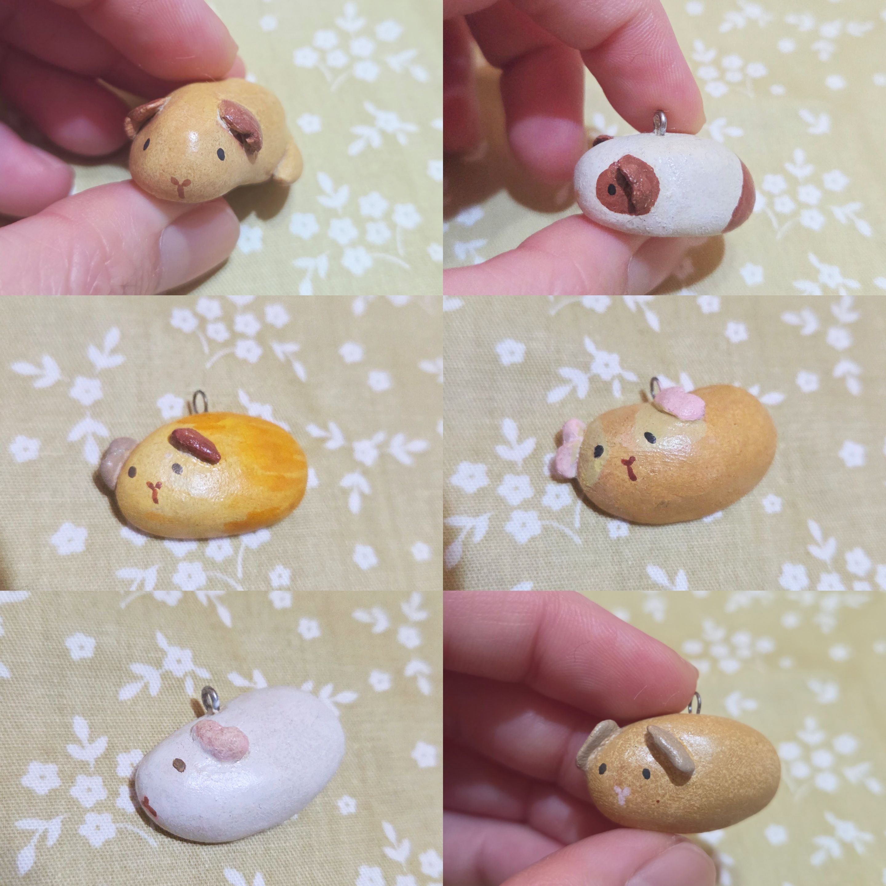 小豬豬